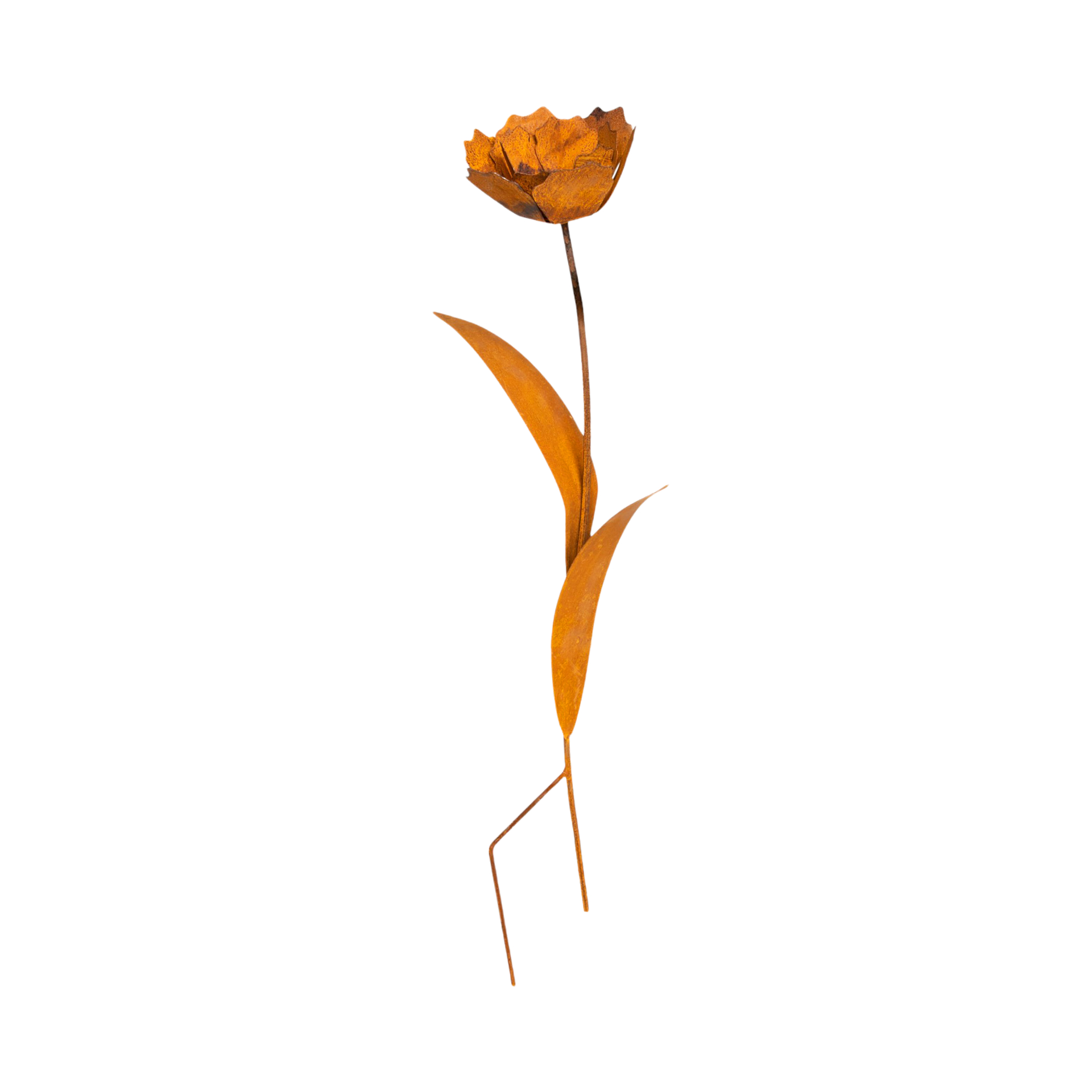 Darstellung von Rose klein zum Stecken, 15x90 cm