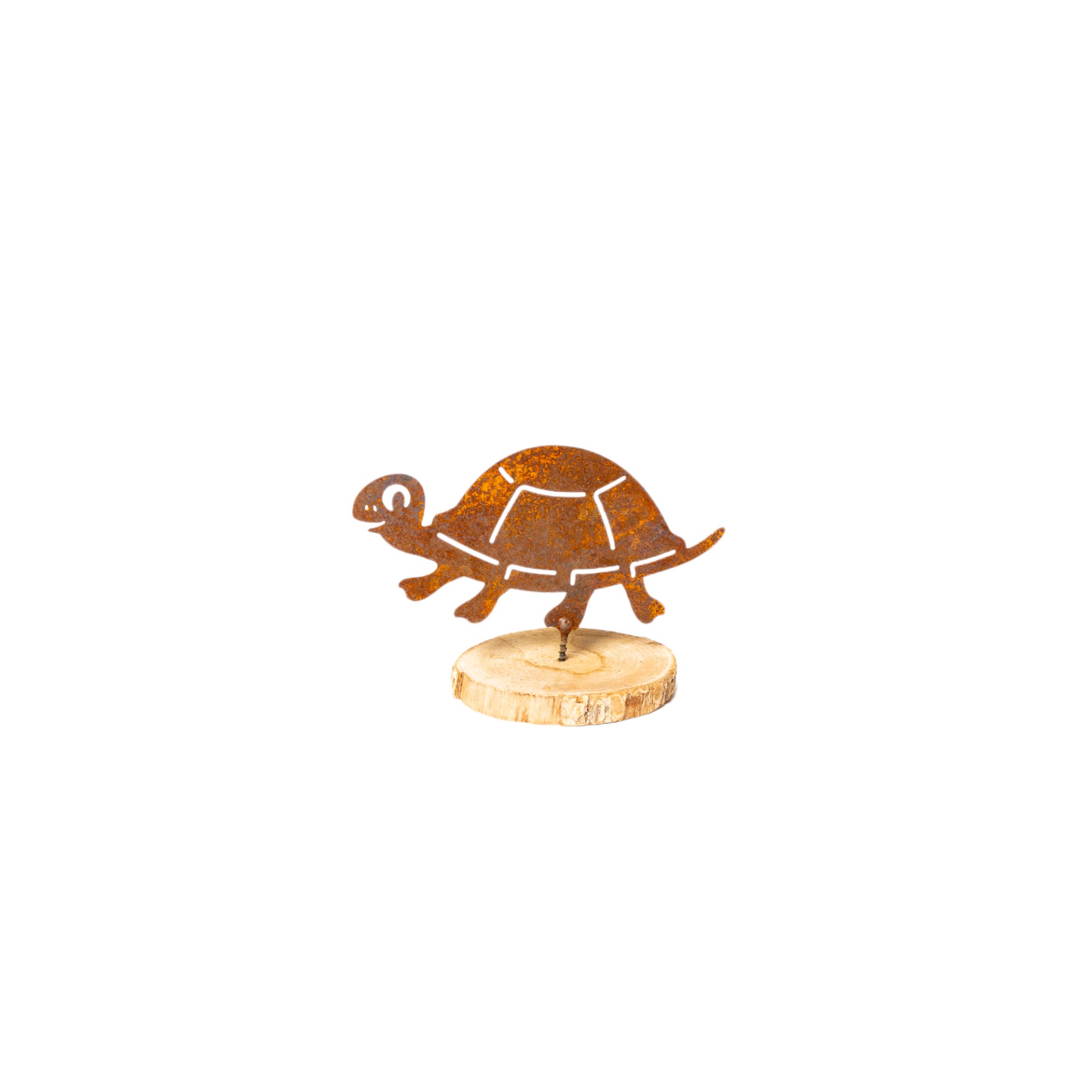 Darstellung von Schildkröte mit Schraube