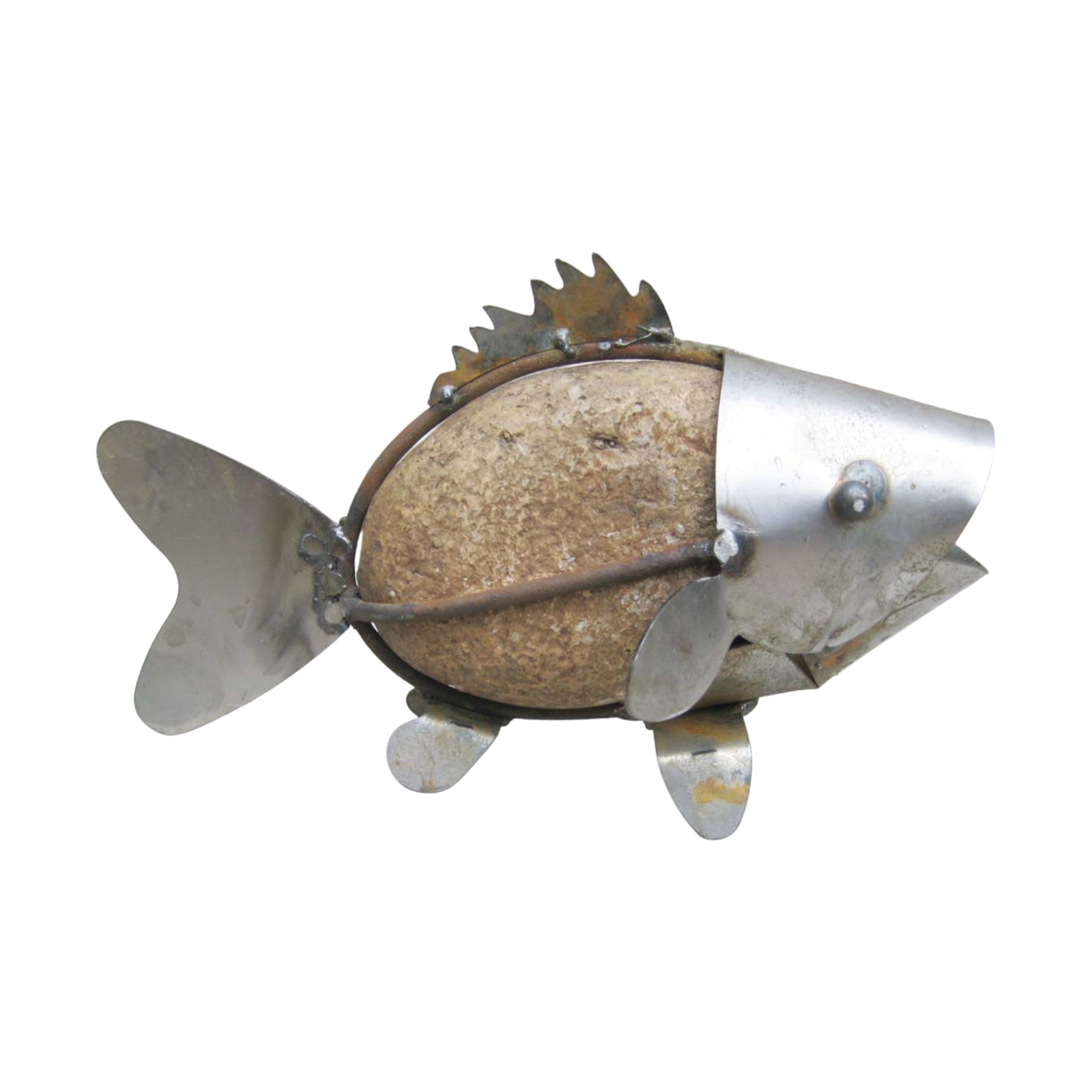 Darstellung von Steinfisch z. Stellen