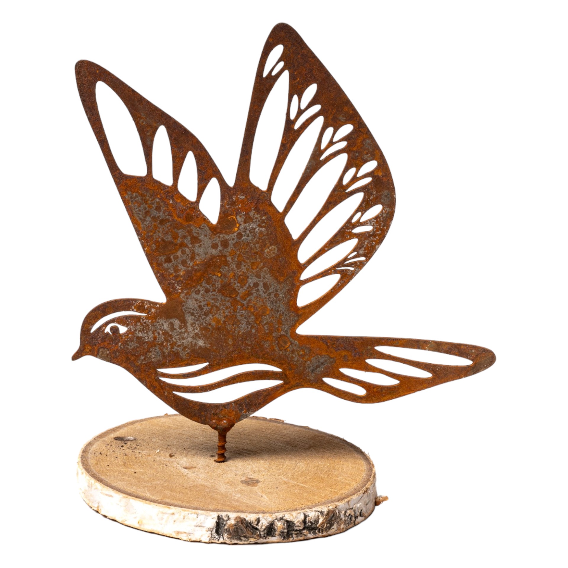 fliegende Taube rost mit Dorn Darstellung von fliegende Taube rost mit Dorn