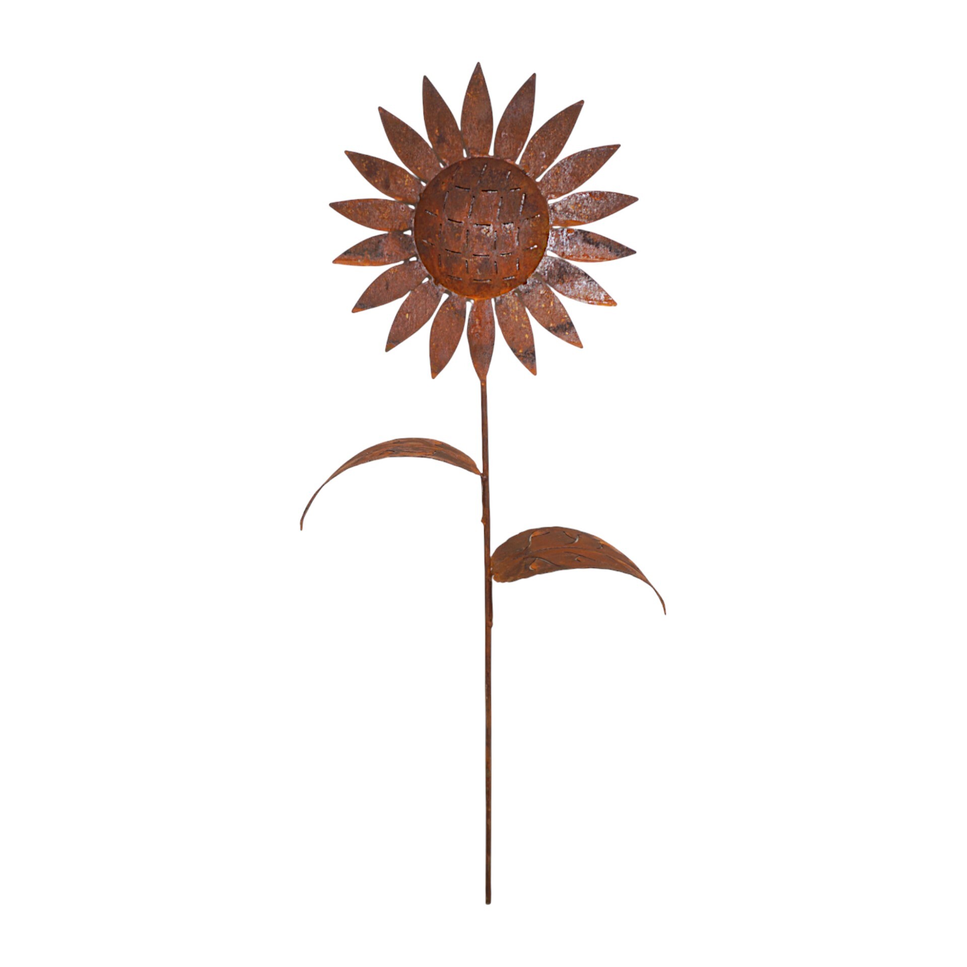 Darstellung von Sonnenblume gross zum Stecken