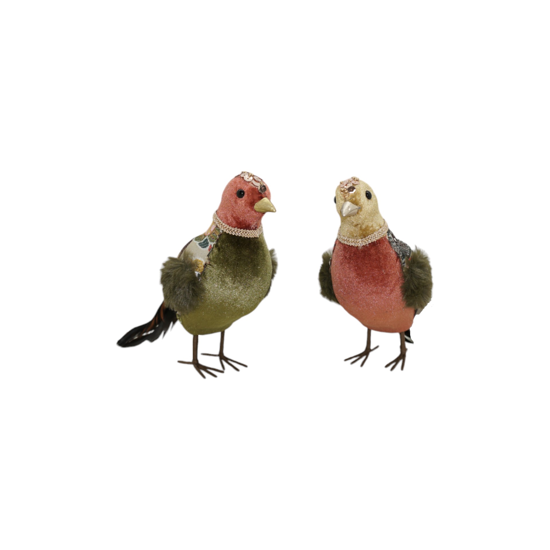 Darstellung von RP Vogel bekleidet a. Fuss sort.