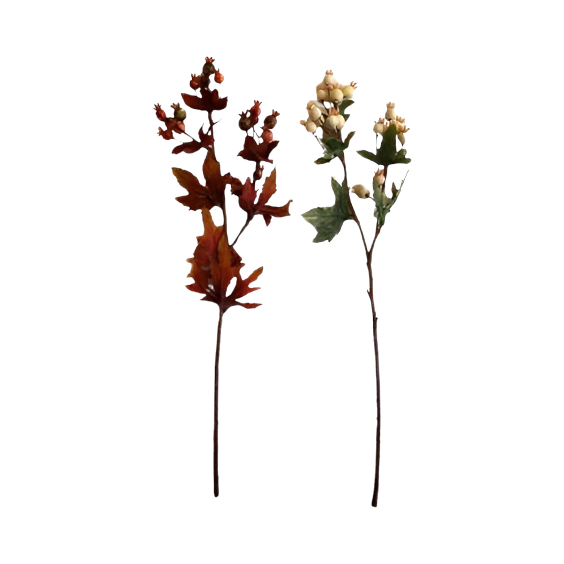 RP Beerenast dunkel, l= 38 cm Darstellung von RP Beerenast dunkel, l= 38 cm