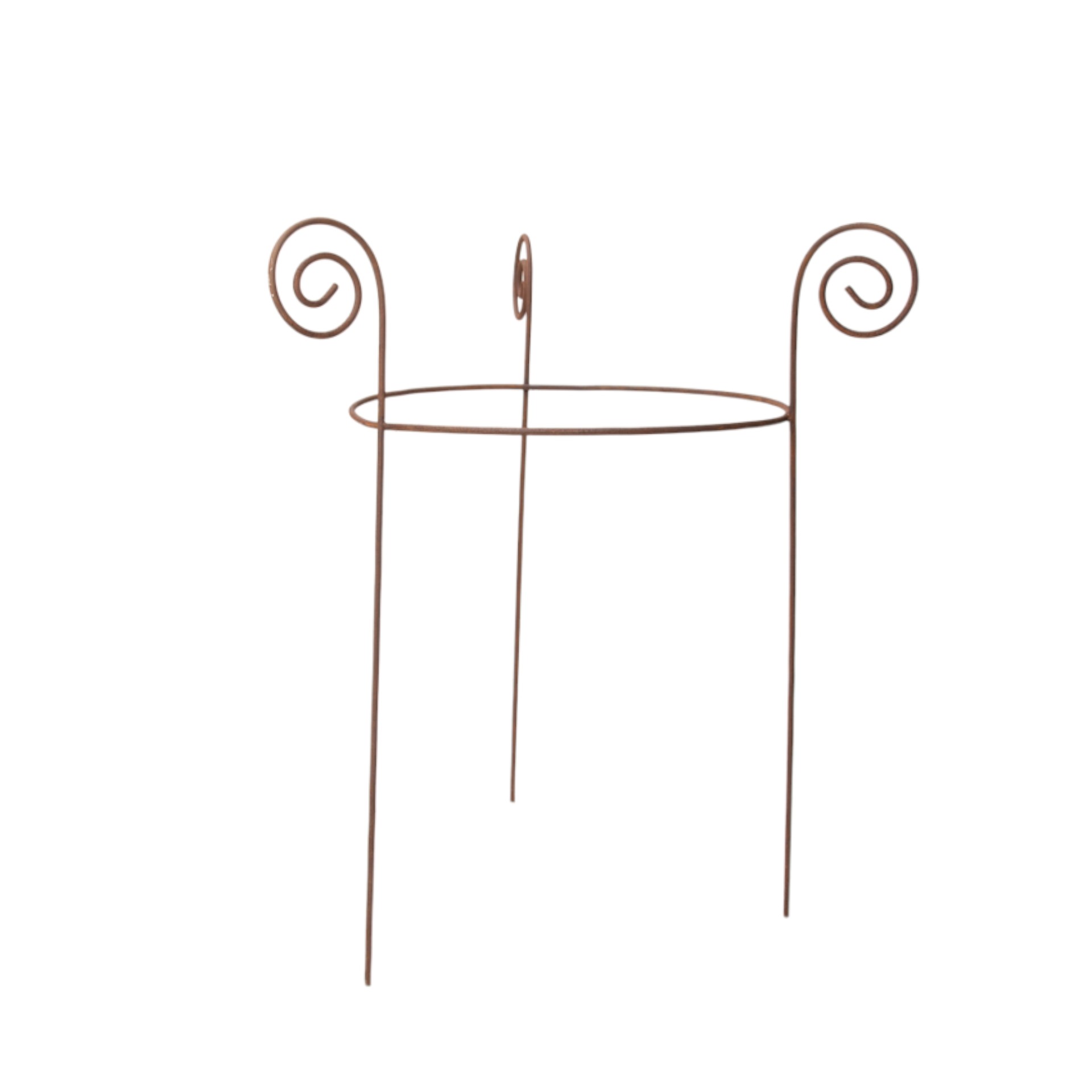 Staudenstütze mittel Schnecke rost rund einfach Darstellung von Staudenstütze mittel Schnecke rost rund einfach