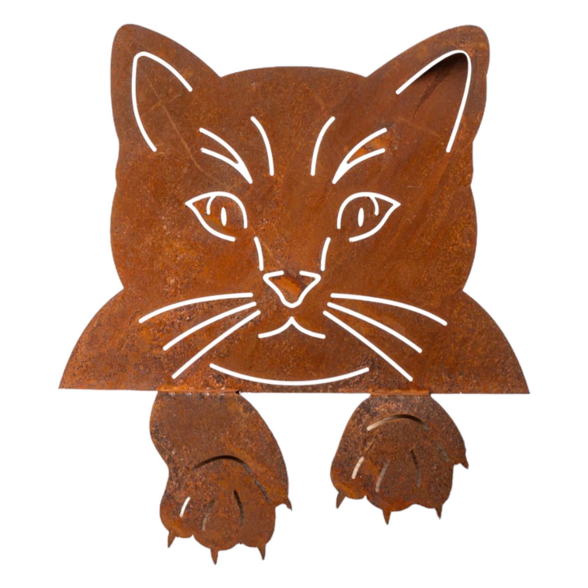 Darstellung von Kantenhocker Katzenkopf