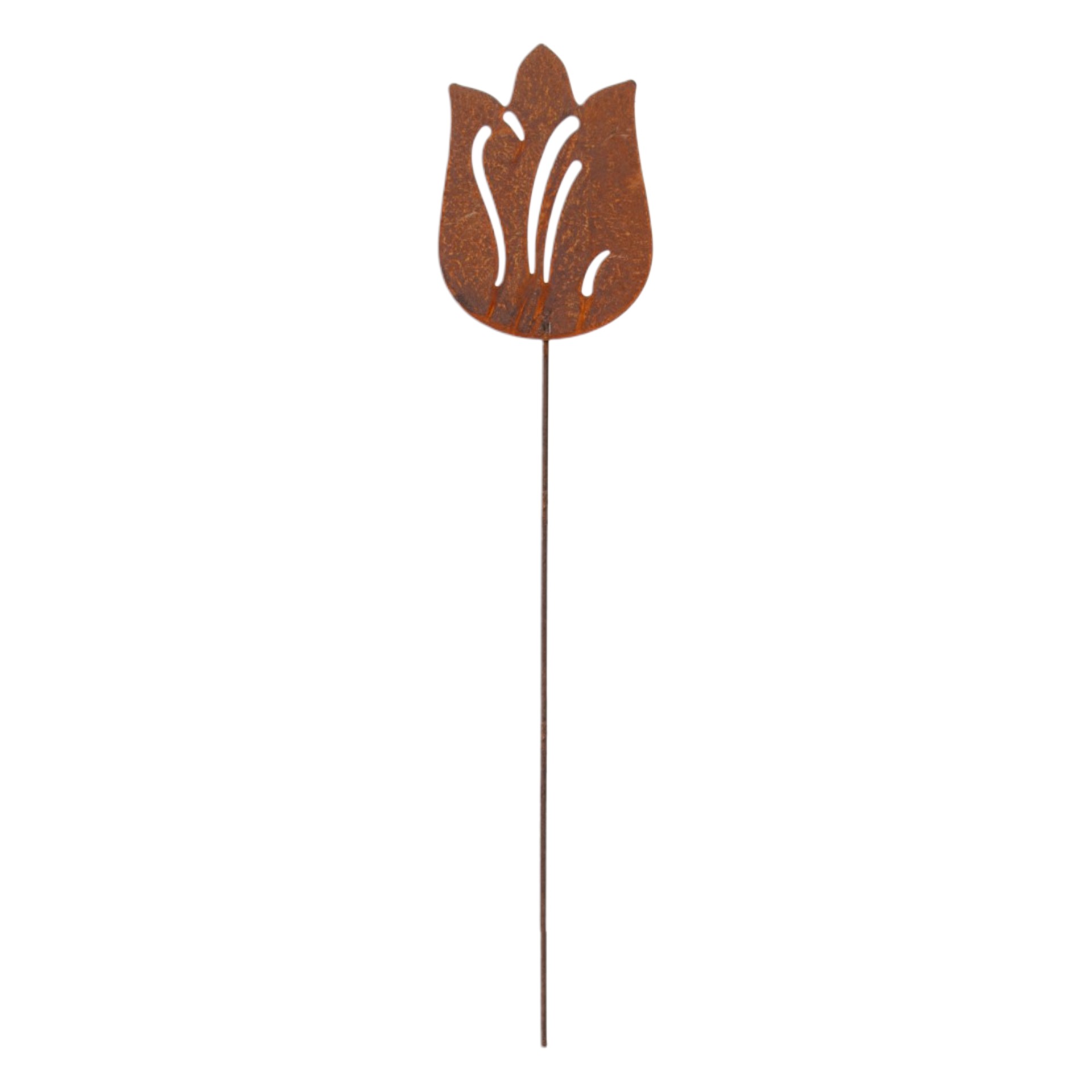Darstellung von Tulpe auf Stab