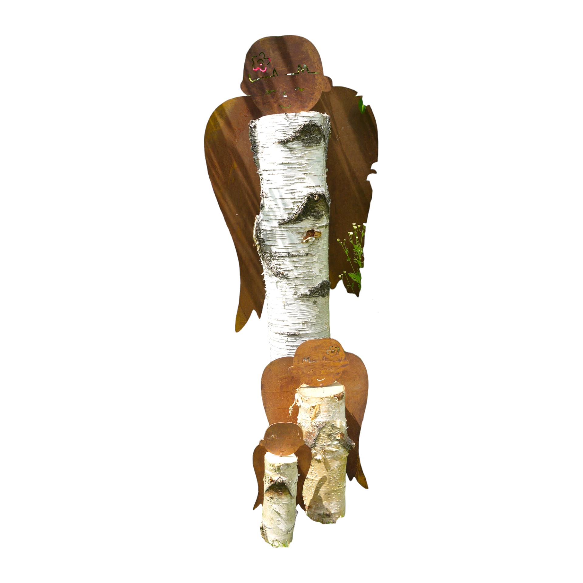 Flügel ROST mittel m. Loch Darstellung von Flügel ROST mittel m. Loch