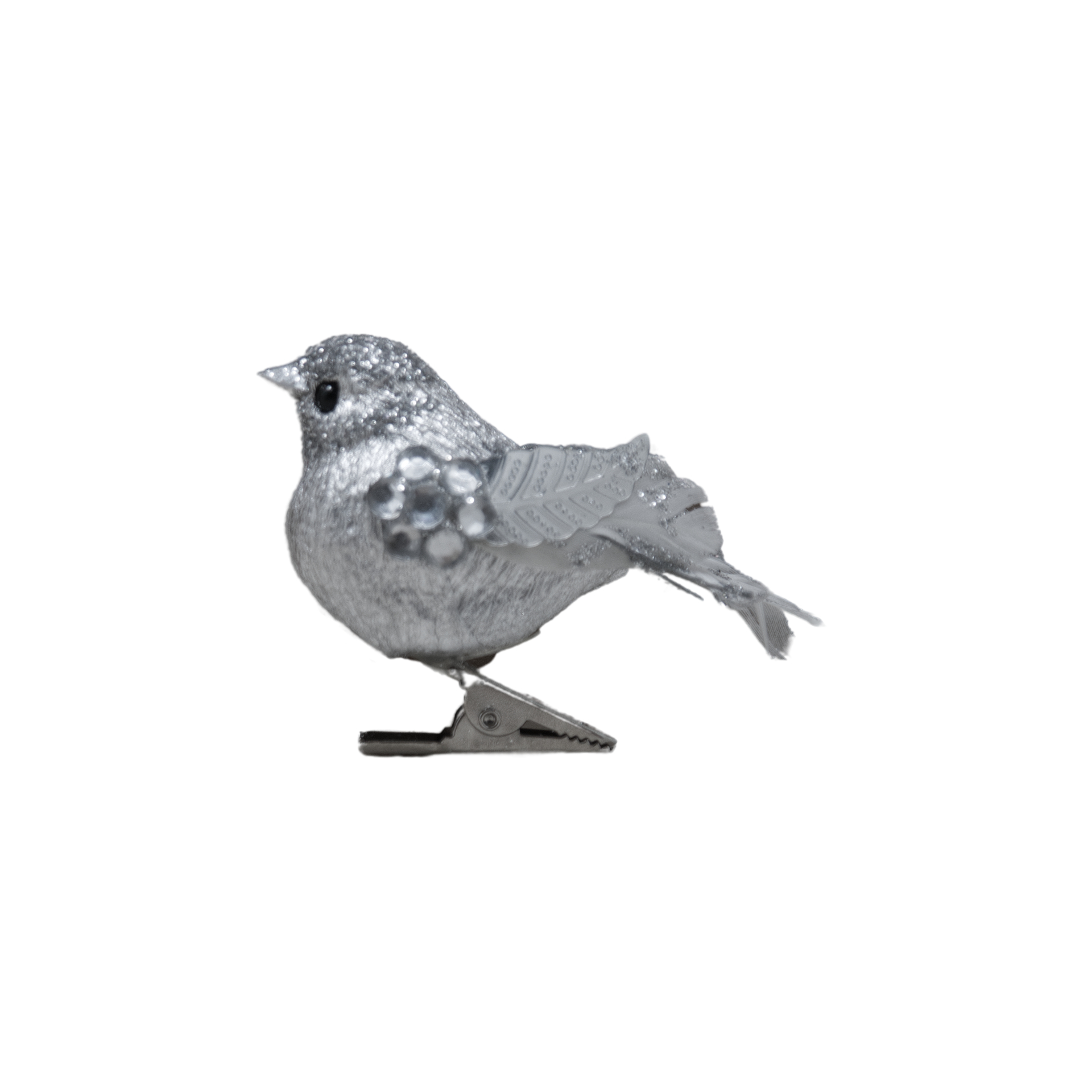 Darstellung von RP Vogel silber