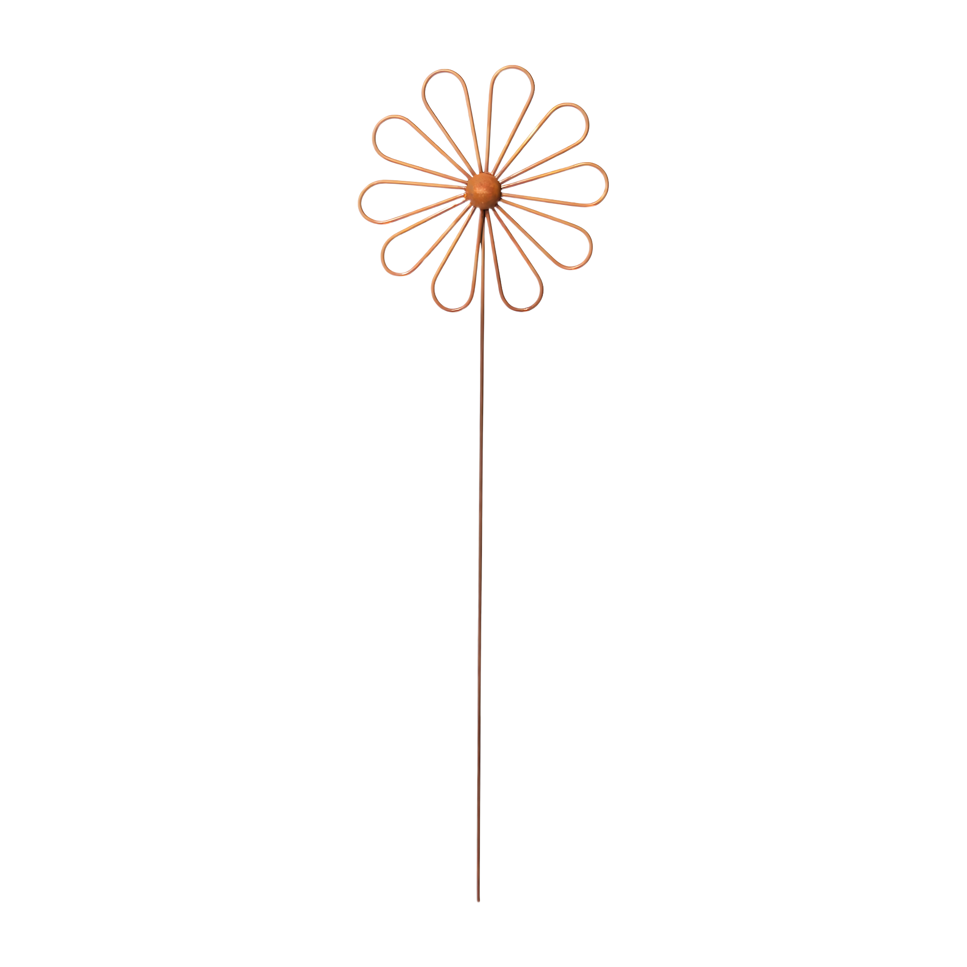 Darstellung von Sonnenblume kl. 10 Blüten
