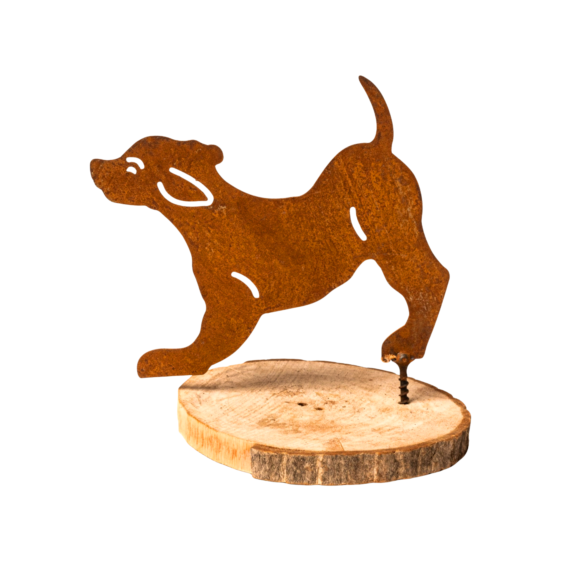 Darstellung von Hund mit Dorn spielend
