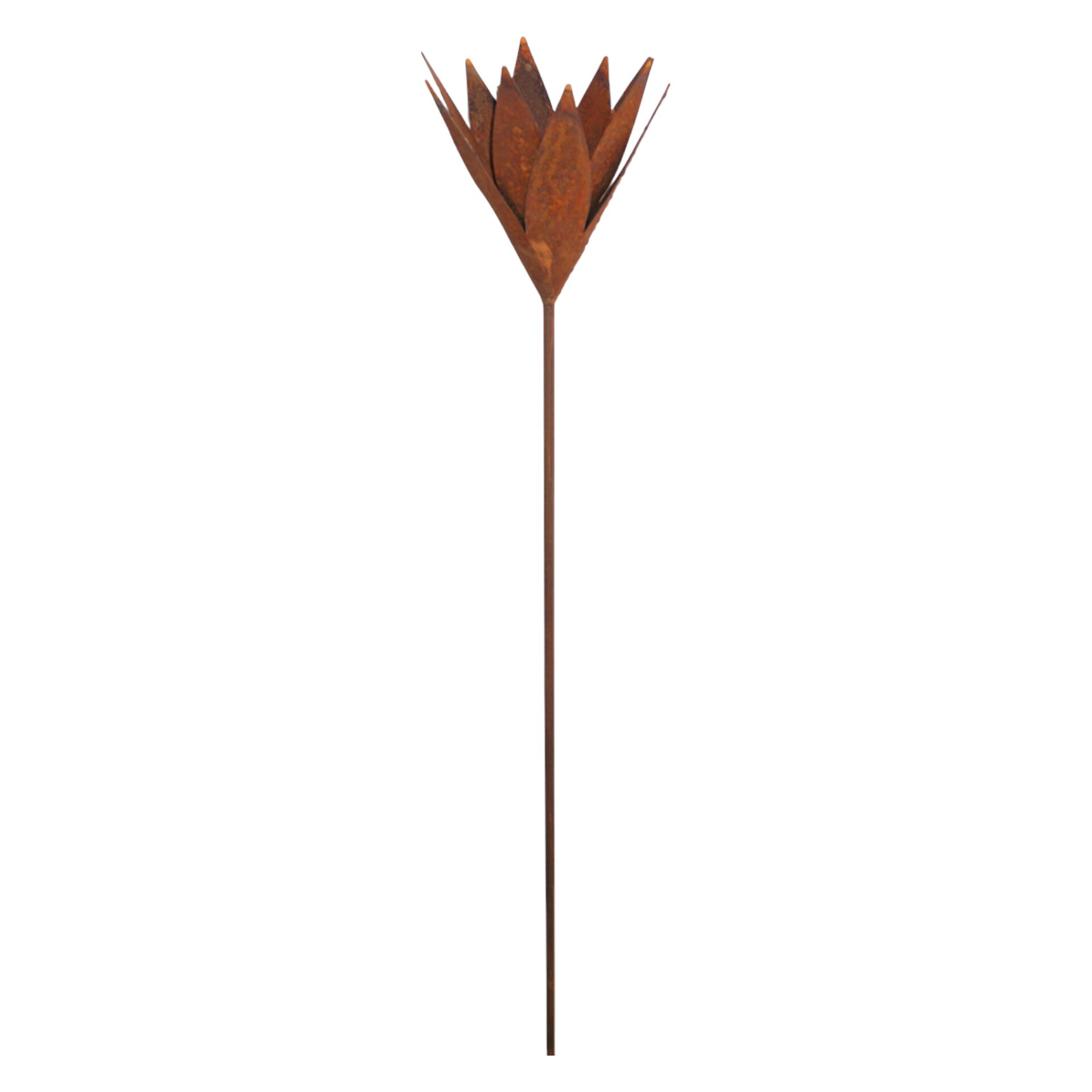 Darstellung von Spitze Blüte auf Stab
