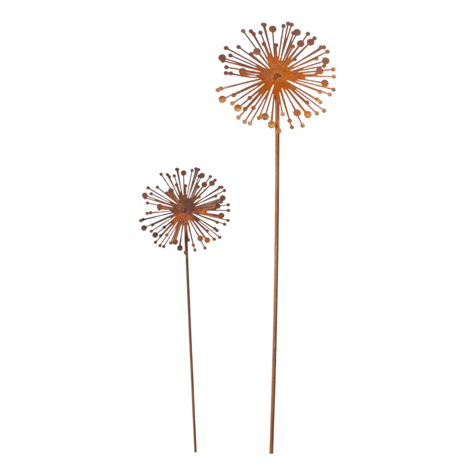 Allium mittel auf Stab Darstellung von Allium mittel auf Stab