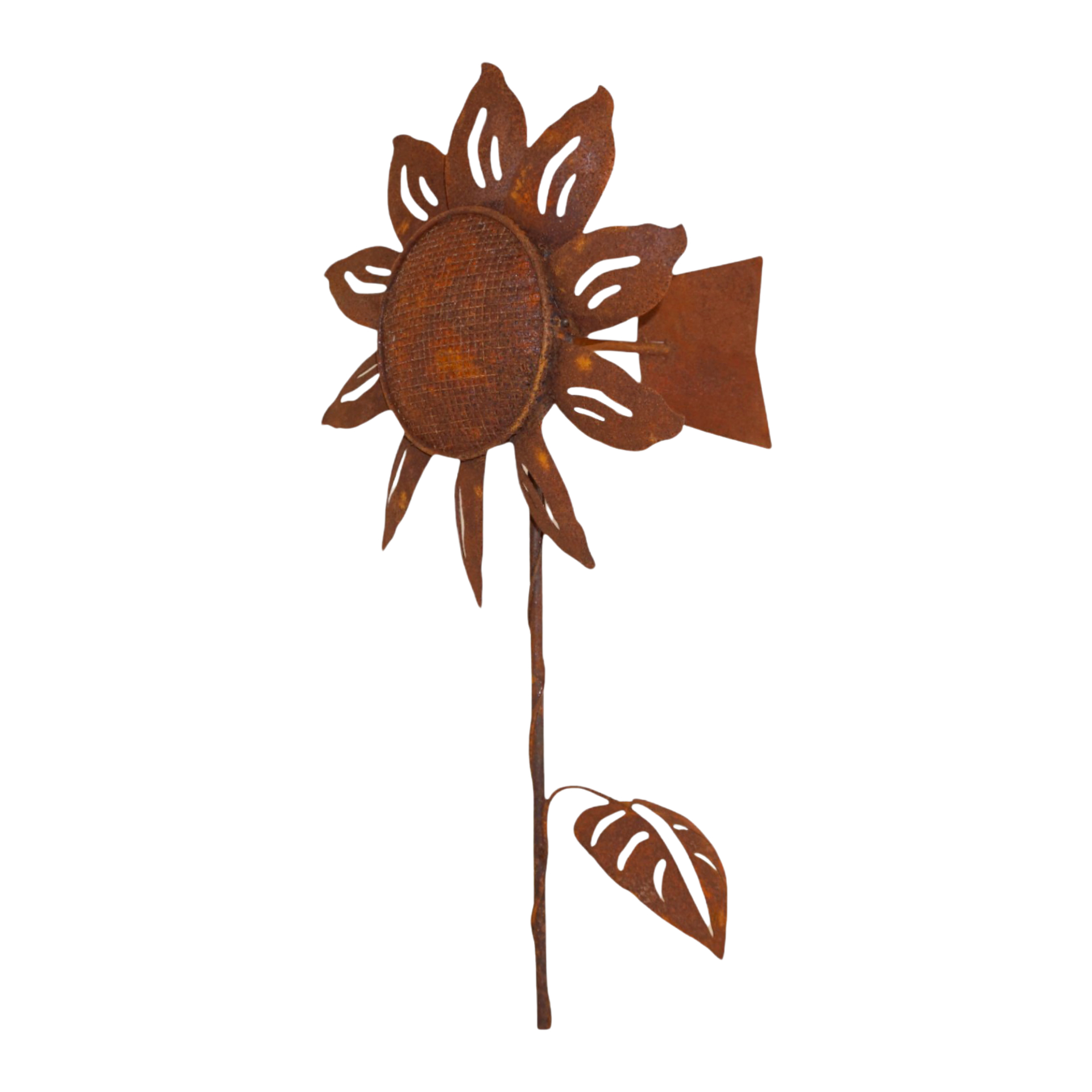 Darstellung von Propeller Sonnenblume h= 147 cm