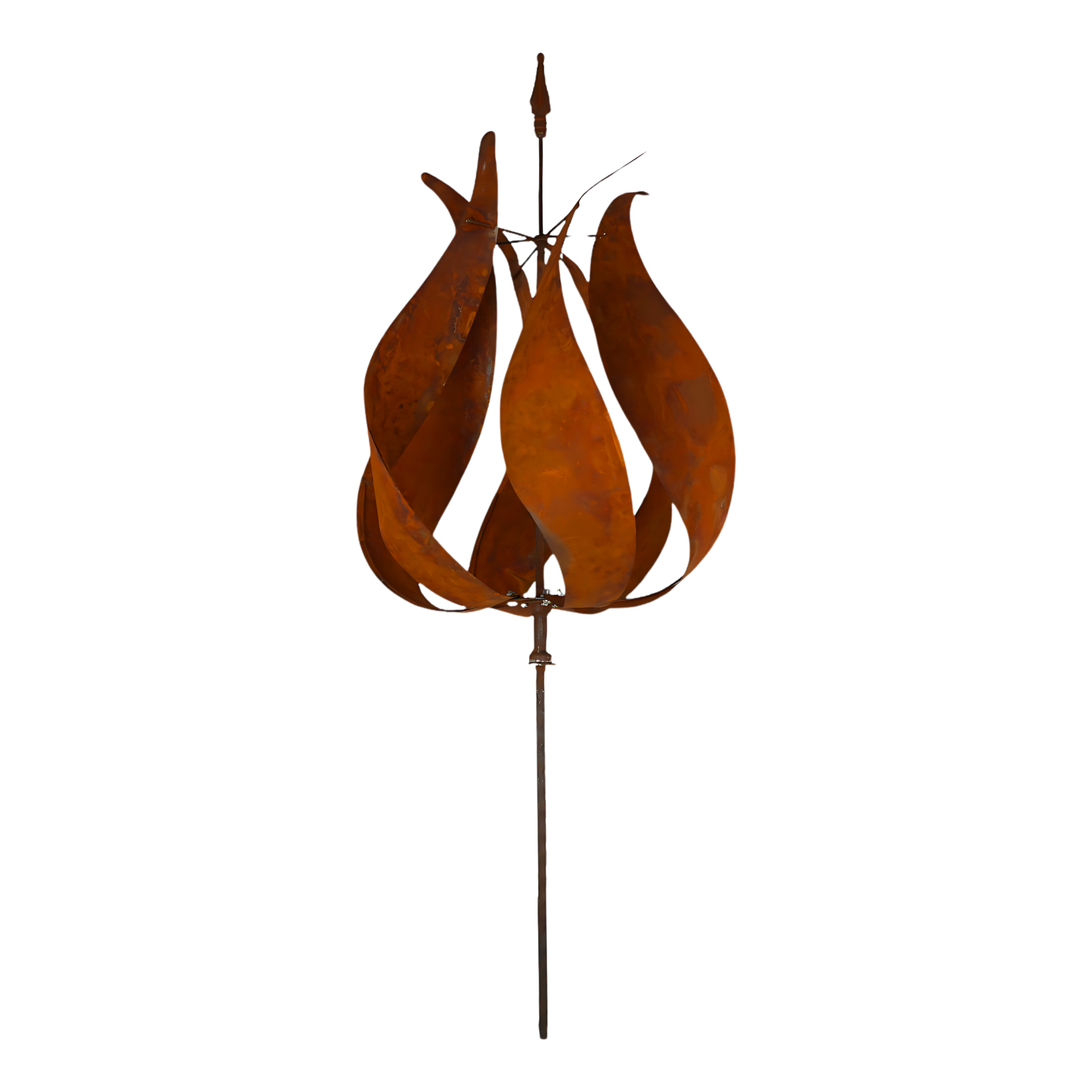 Darstellung von Tulpenpropeller gross