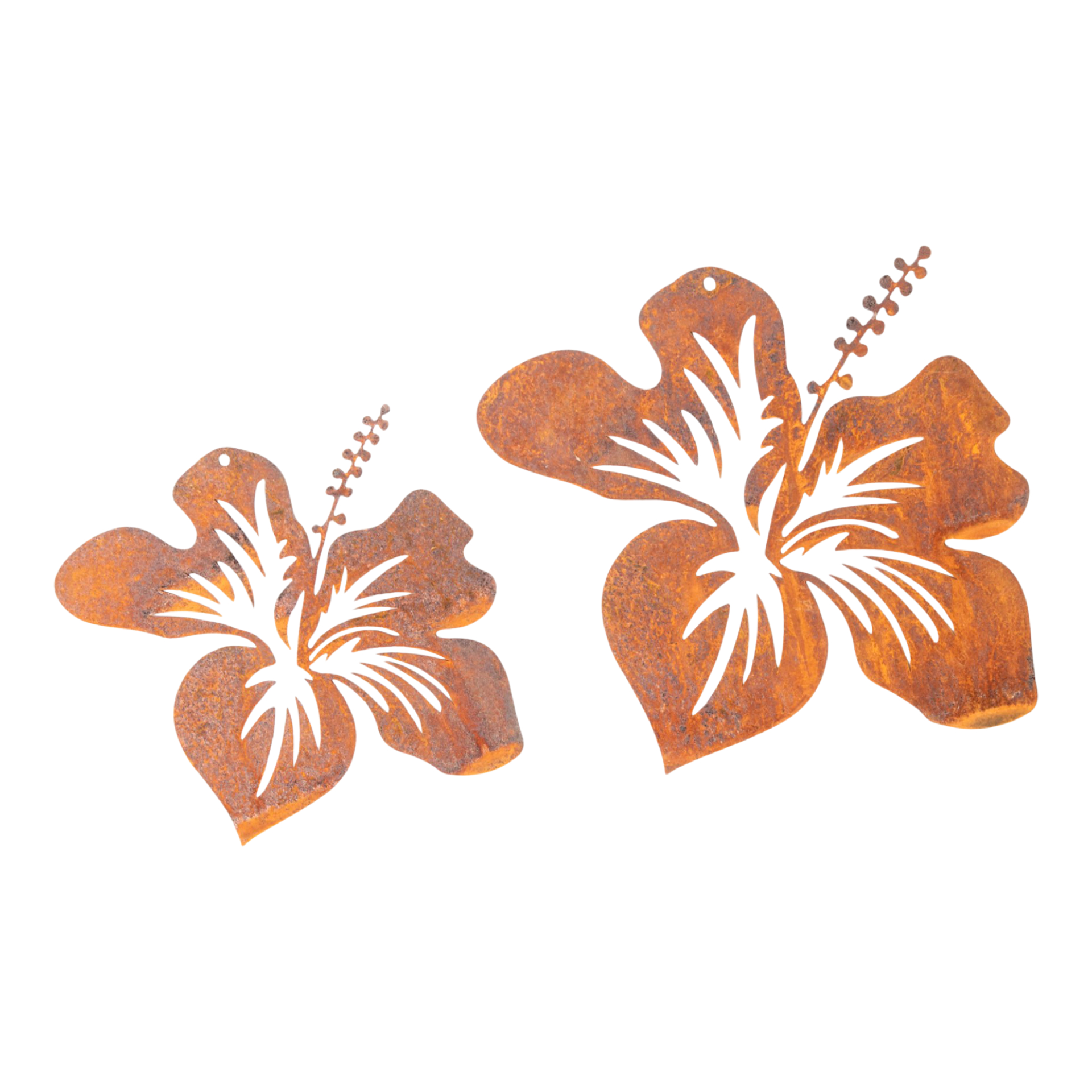 Darstellung von Hibiskus klein zum Hängen