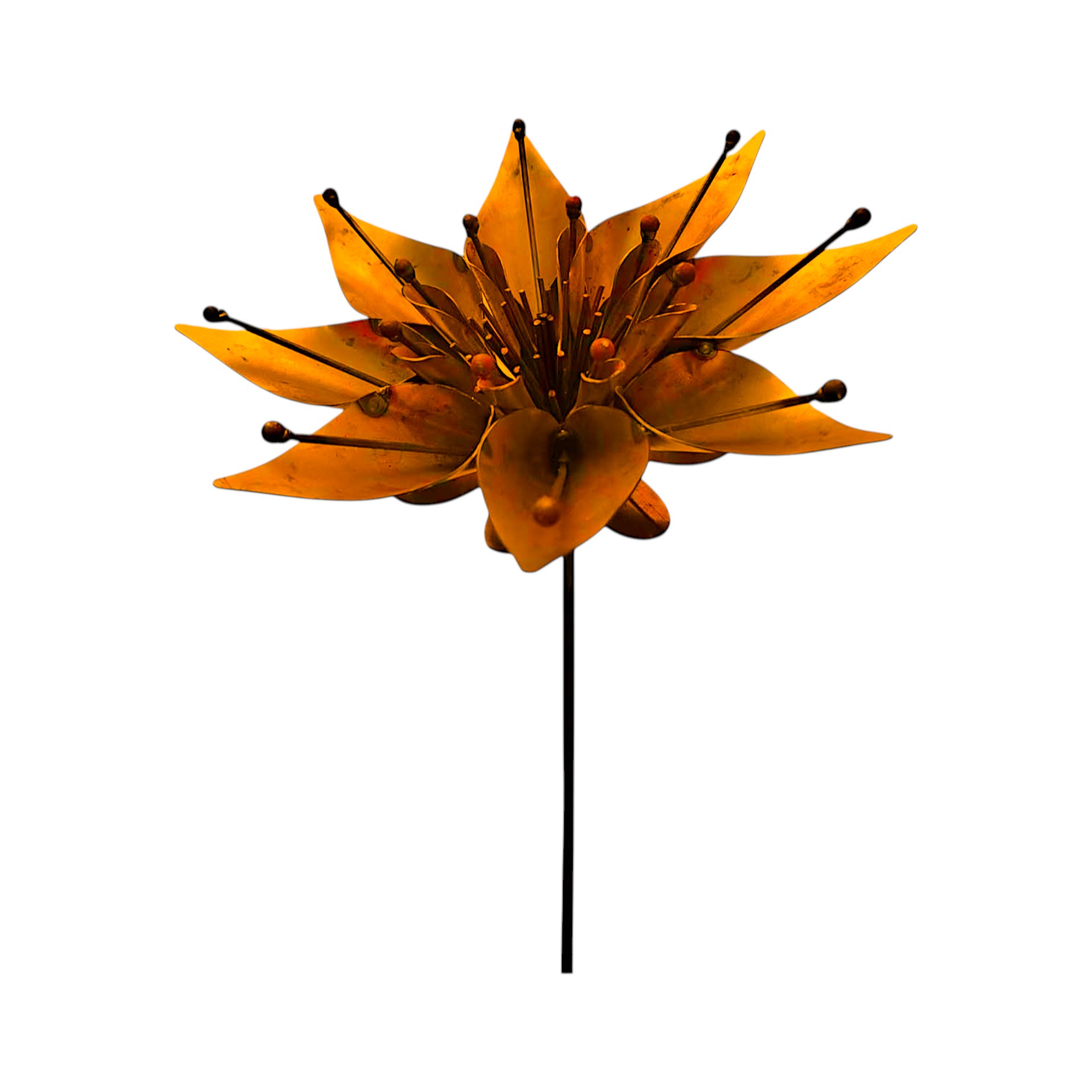 Darstellung von Lotusblume z. Stecken