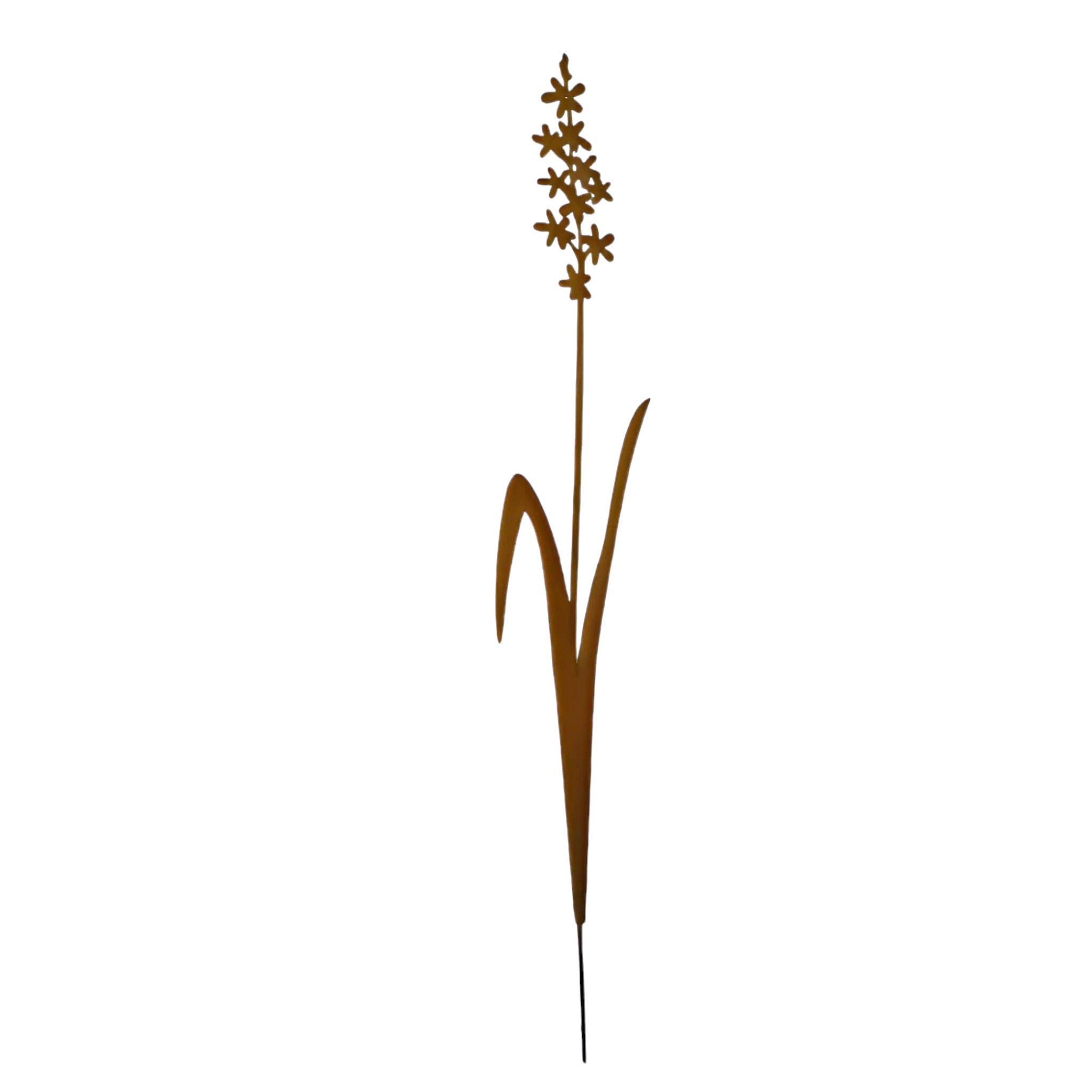 Darstellung von Lavendelblume z. Stecken