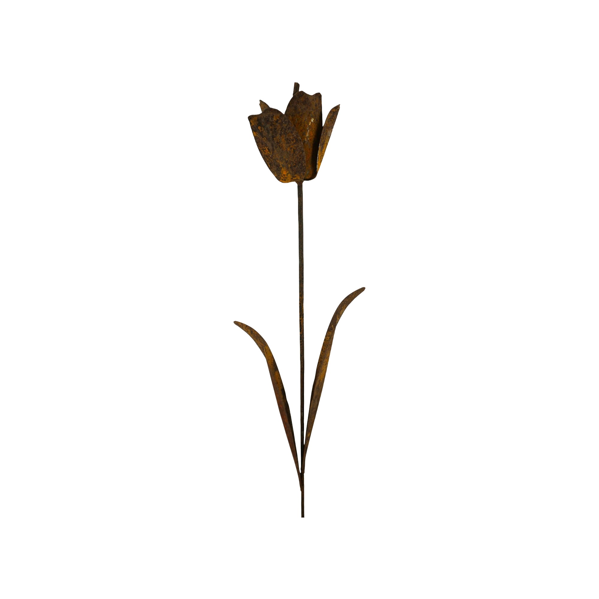 Darstellung von Tulpe z. Stecken rost, h= 144 cm, b= 17 cm