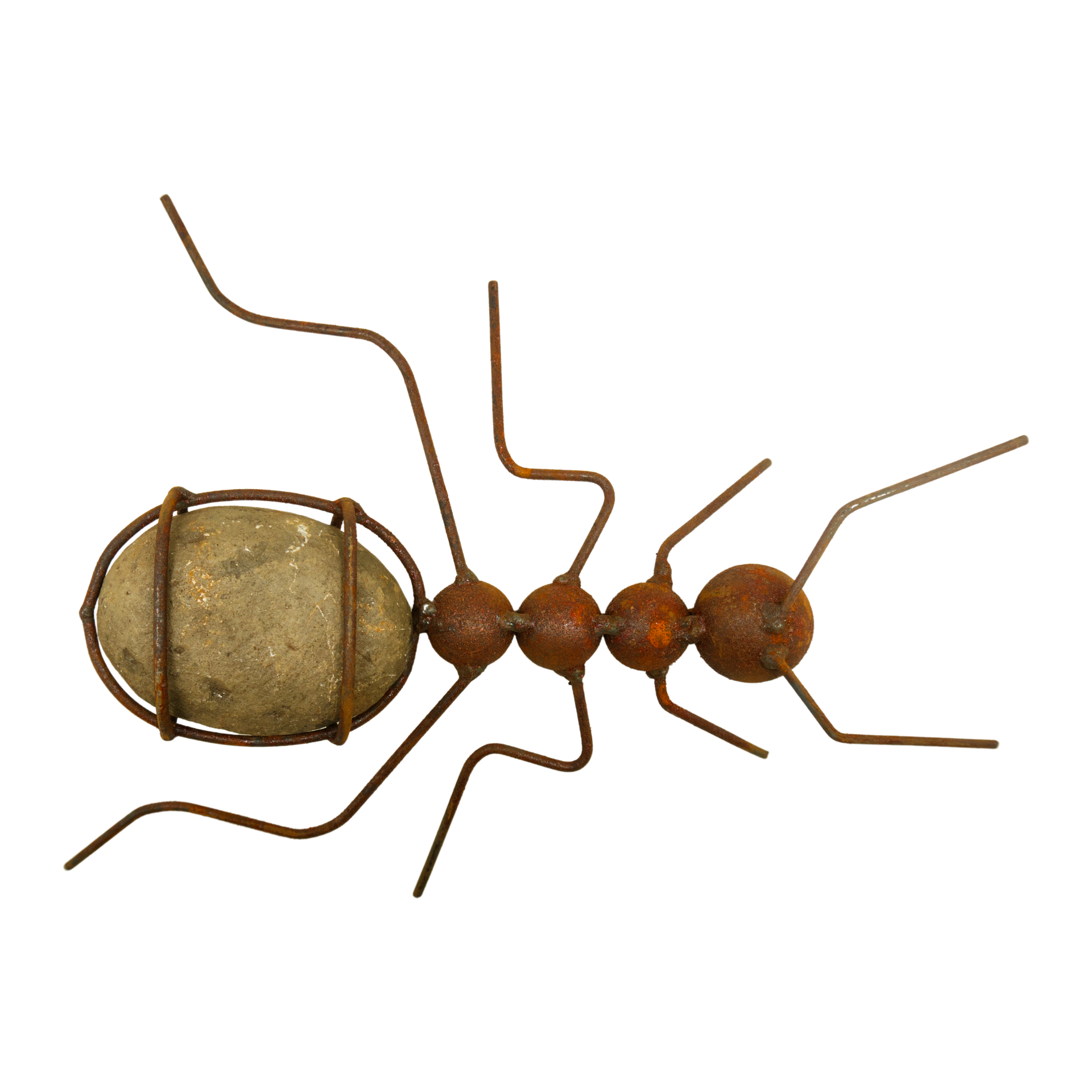 Darstellung von Steinameise z. Stellen