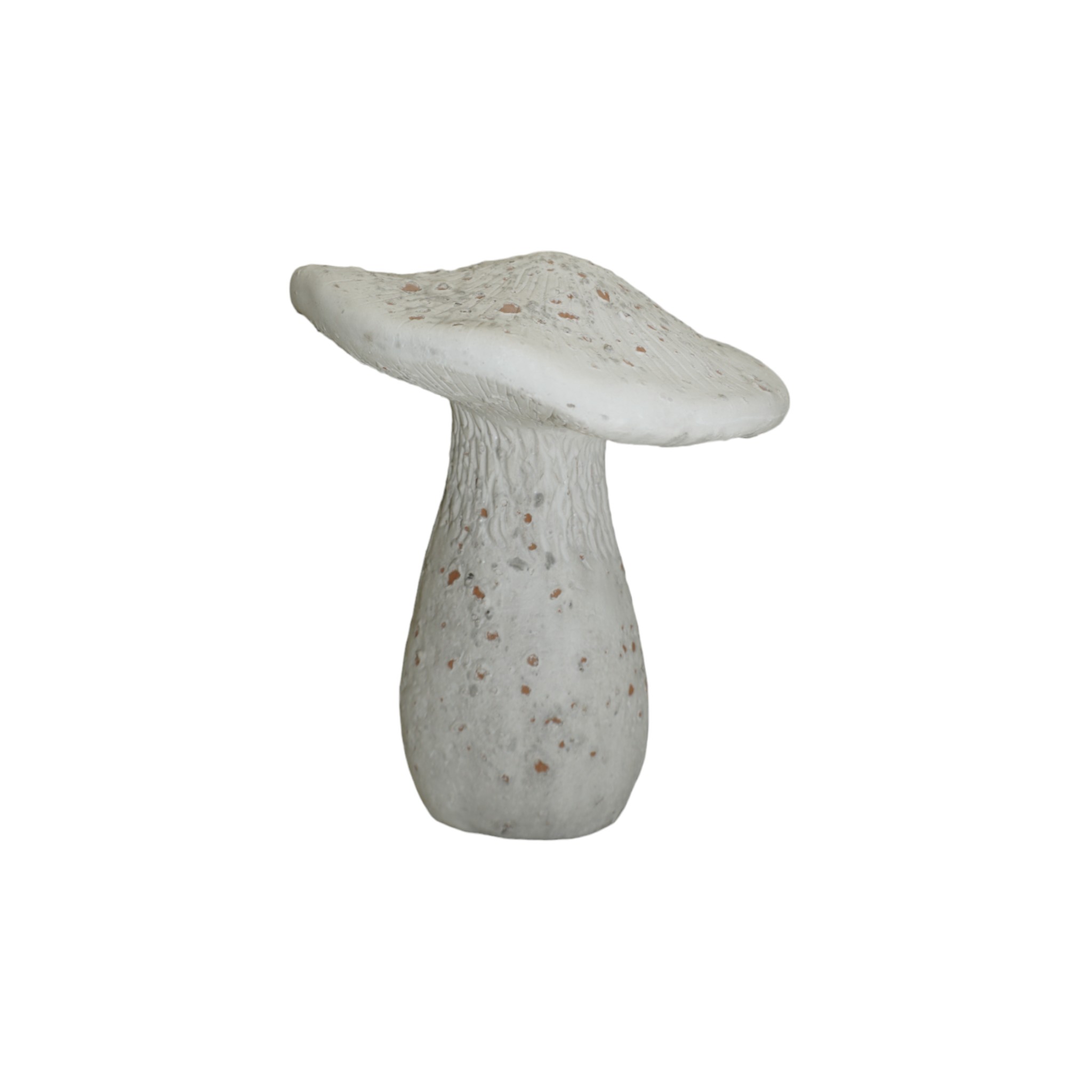 Darstellung von Röhrling zement