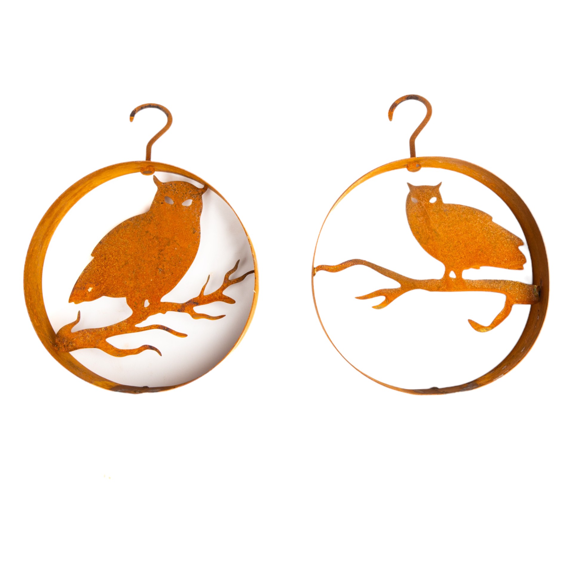 RP Ring mit Eule klein Darstellung von RP Ring mit Eule klein