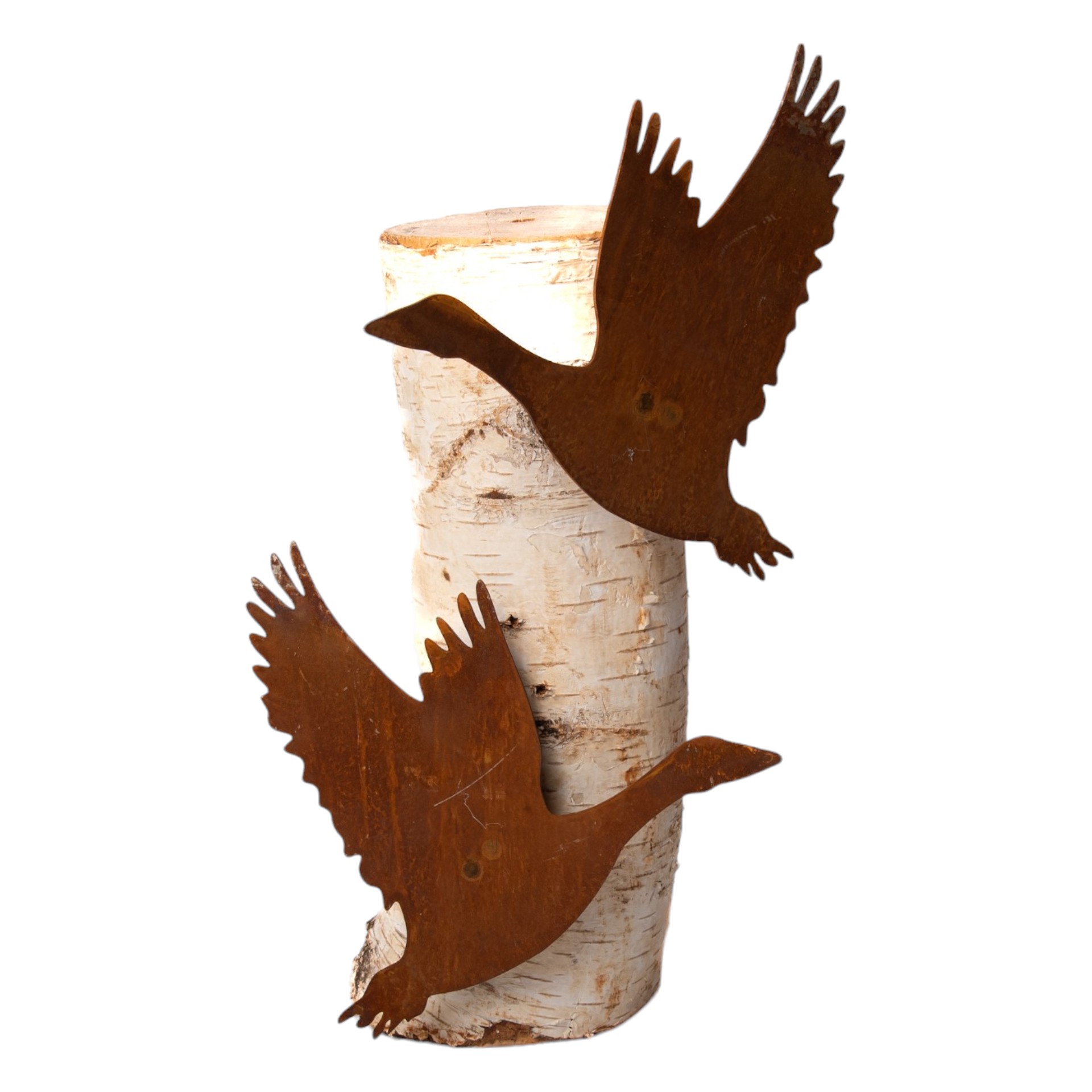 Gans mit Dorn Darstellung von Gans mit Dorn