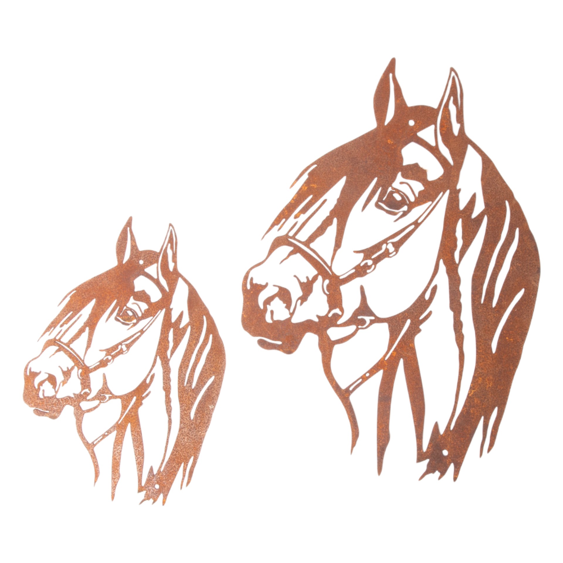 Darstellung von Pferdekopf klein