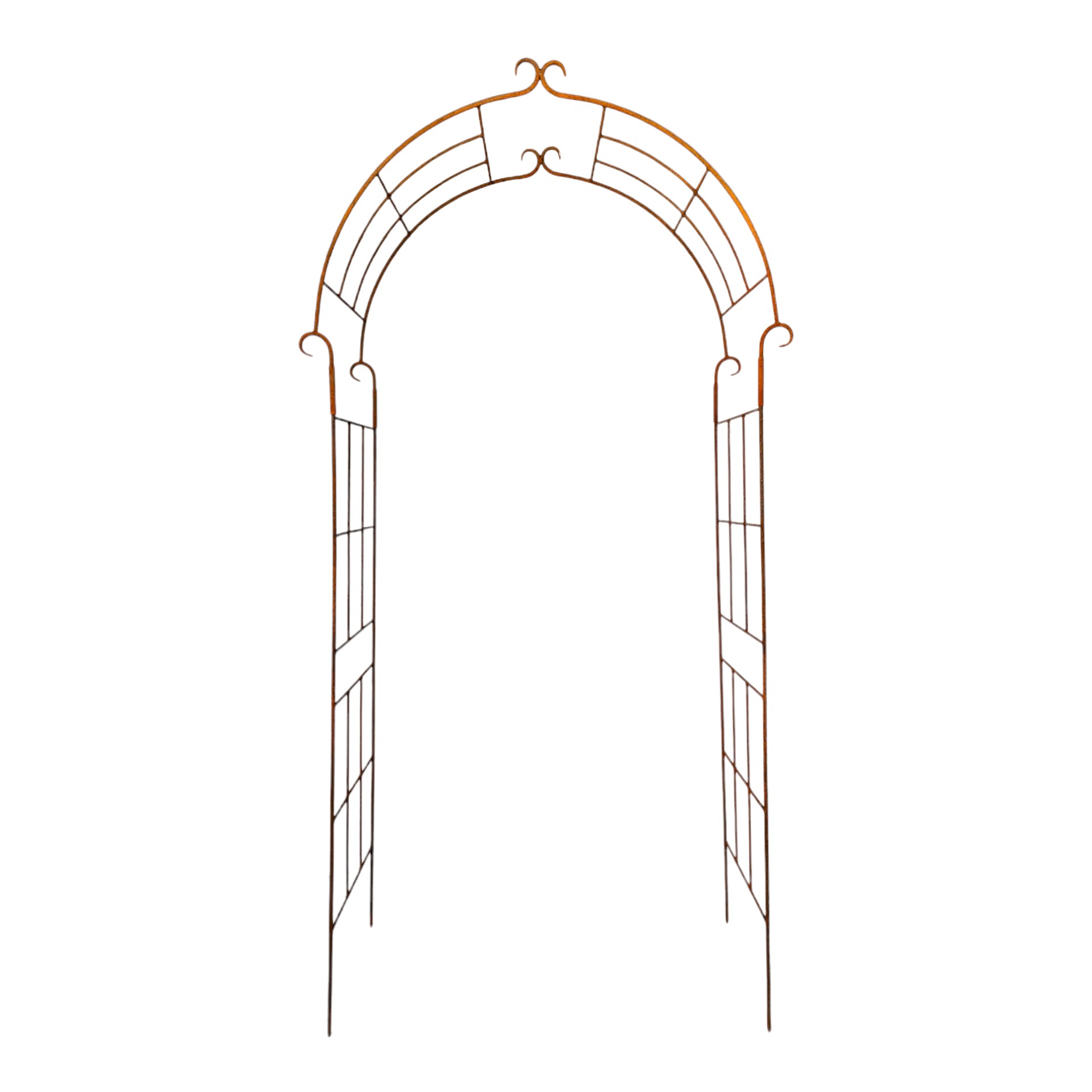 Rosenbogen schlank rost Darstellung von Rosenbogen schlank rost