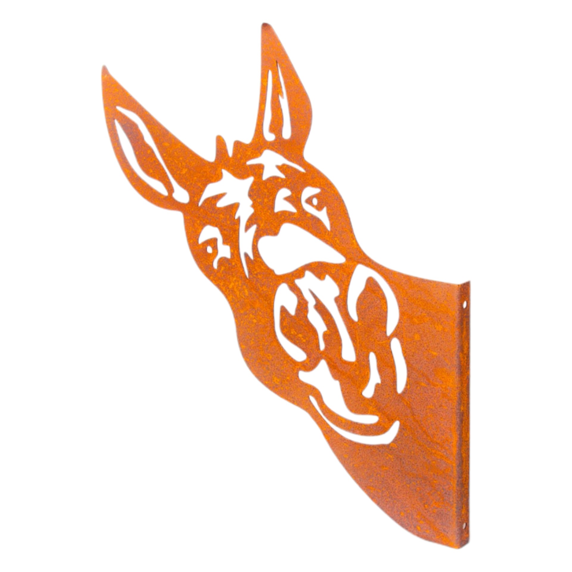 Eselkopf seitlich schauend Darstellung von Eselkopf seitlich schauend mittel