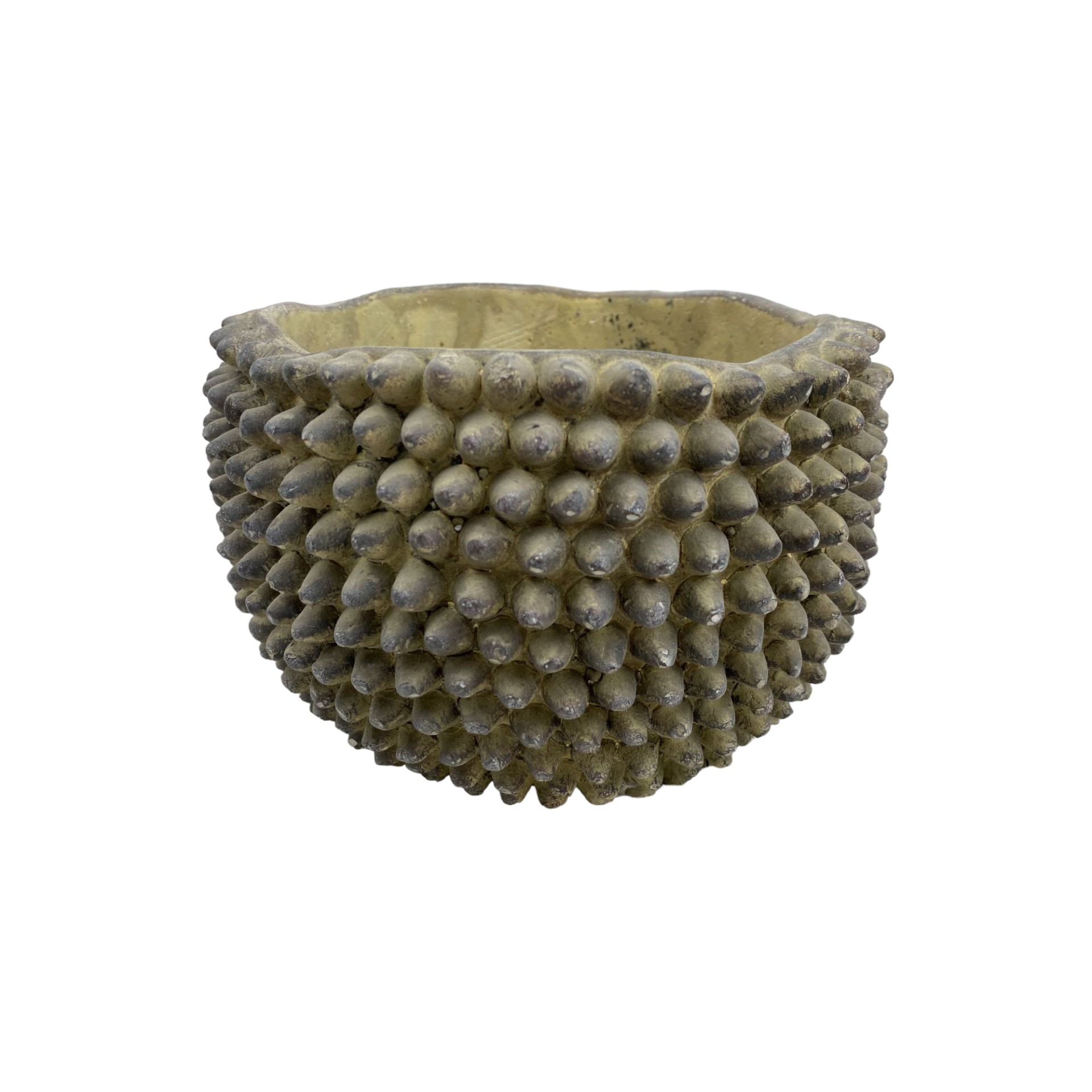 RP Noppentopf flach klein graugrün Darstellung von RP Noppentopf flach klein graugrün