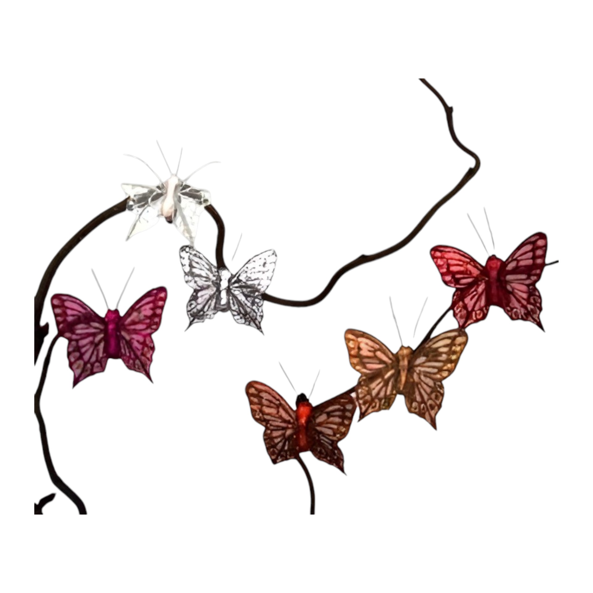 RP Schmetterling 4 cm m. Clips sort. Darstellung von RP Schmetterling 4 cm m. Clips sort.