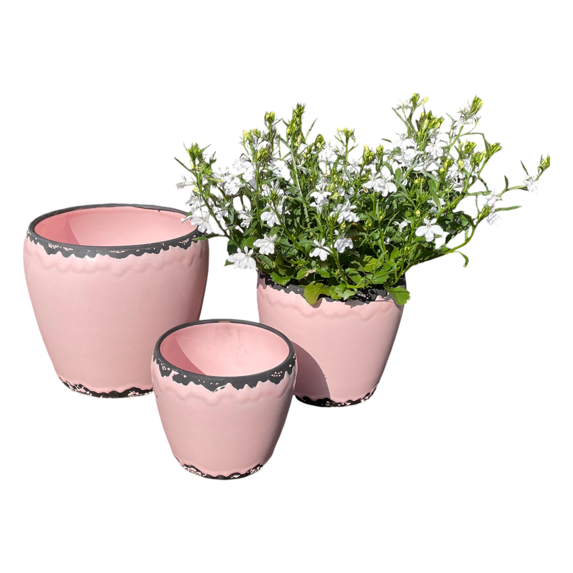 Darstellung von RP Tonda gross ROSA 21x18,5 cm