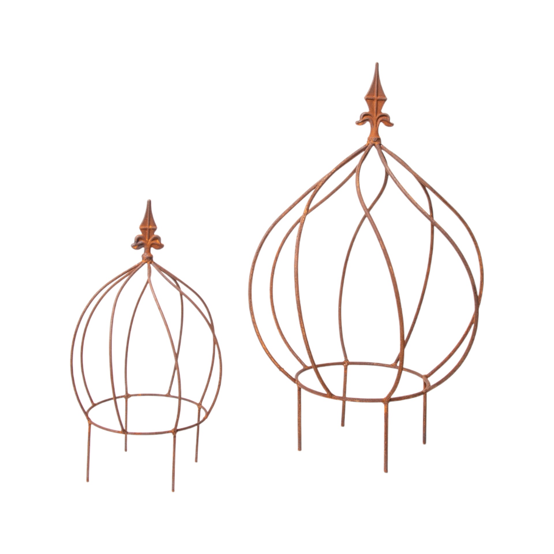 Rankhilfe mittel Zwiebel zum Stecken Darstellung von Rankhilfe mittel Zwiebel zum Stecken