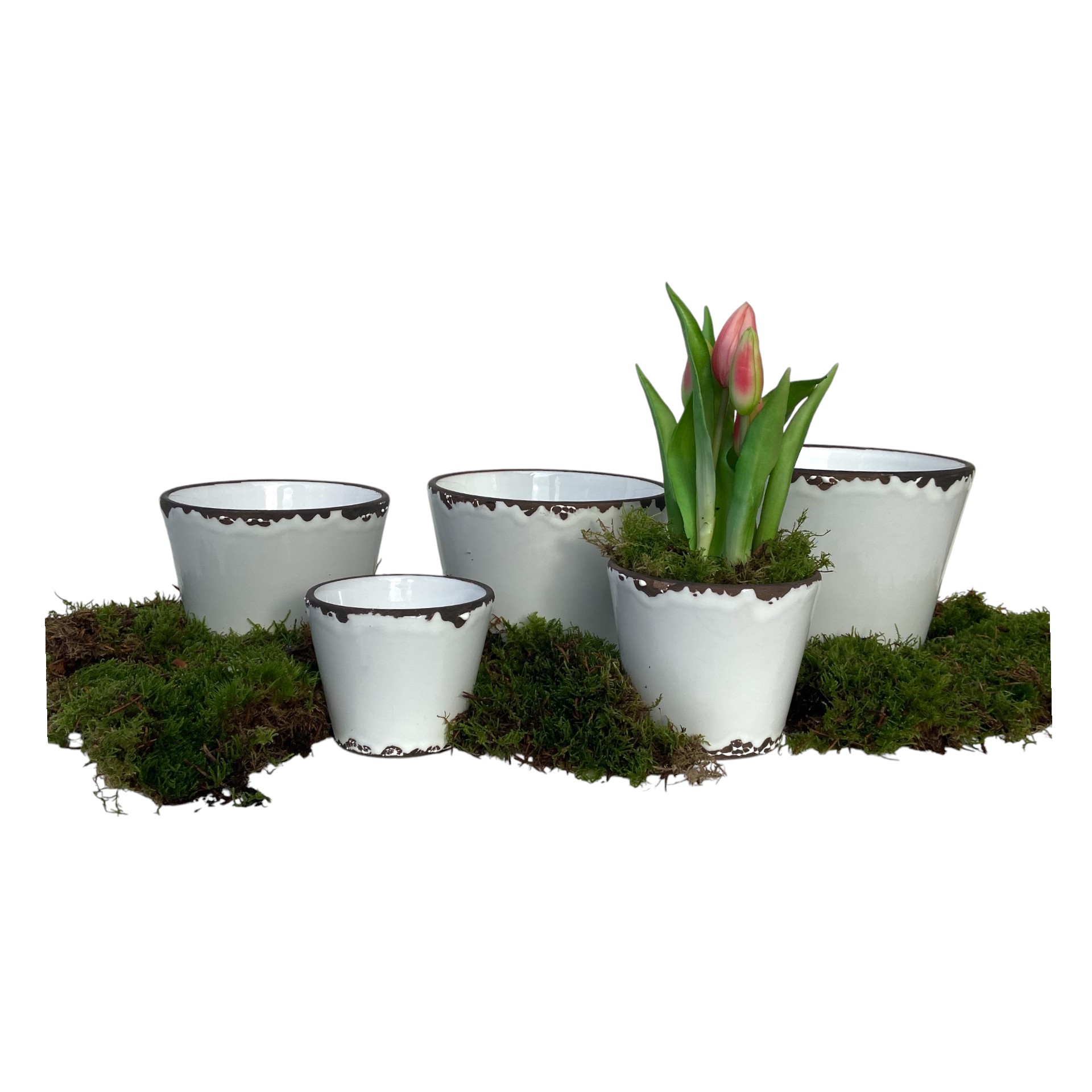 RP Topf Flora WEISS 17x13 cm Darstellung von RP Topf Flora WEISS 17x13 cm
