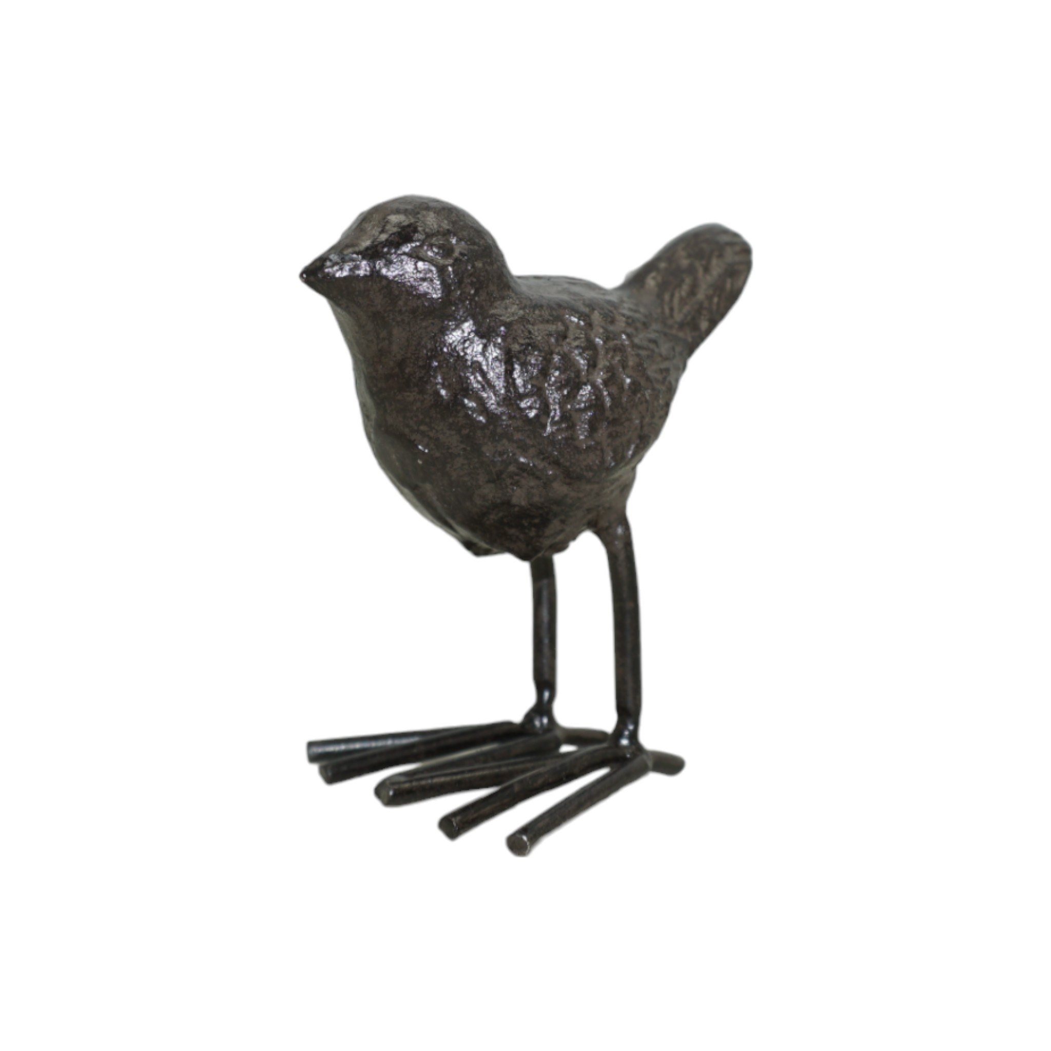 Darstellung von Vogel klein auf Fuss