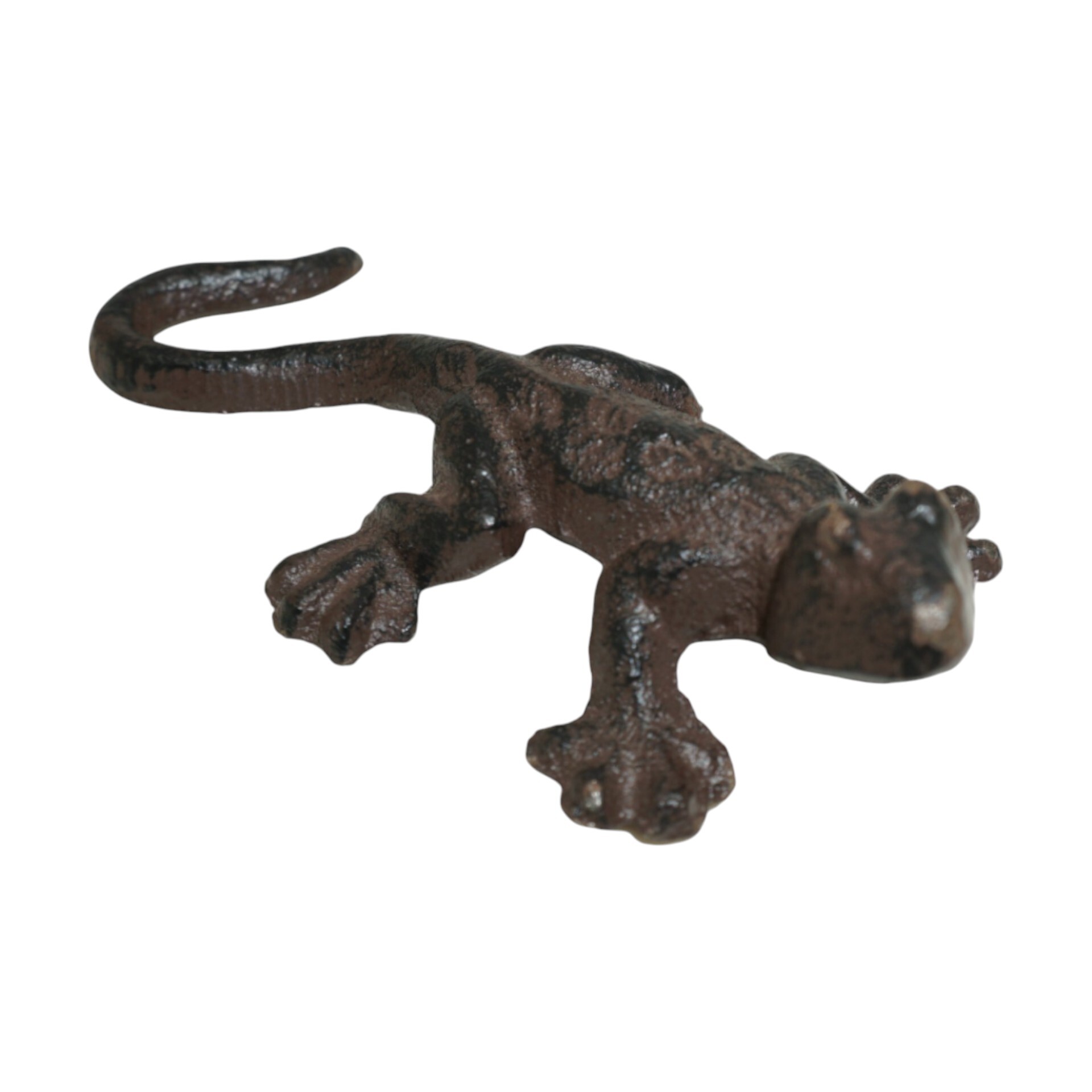 Salamander Schwanz gebogen Darstellung von Salamander Schwanz gebogen