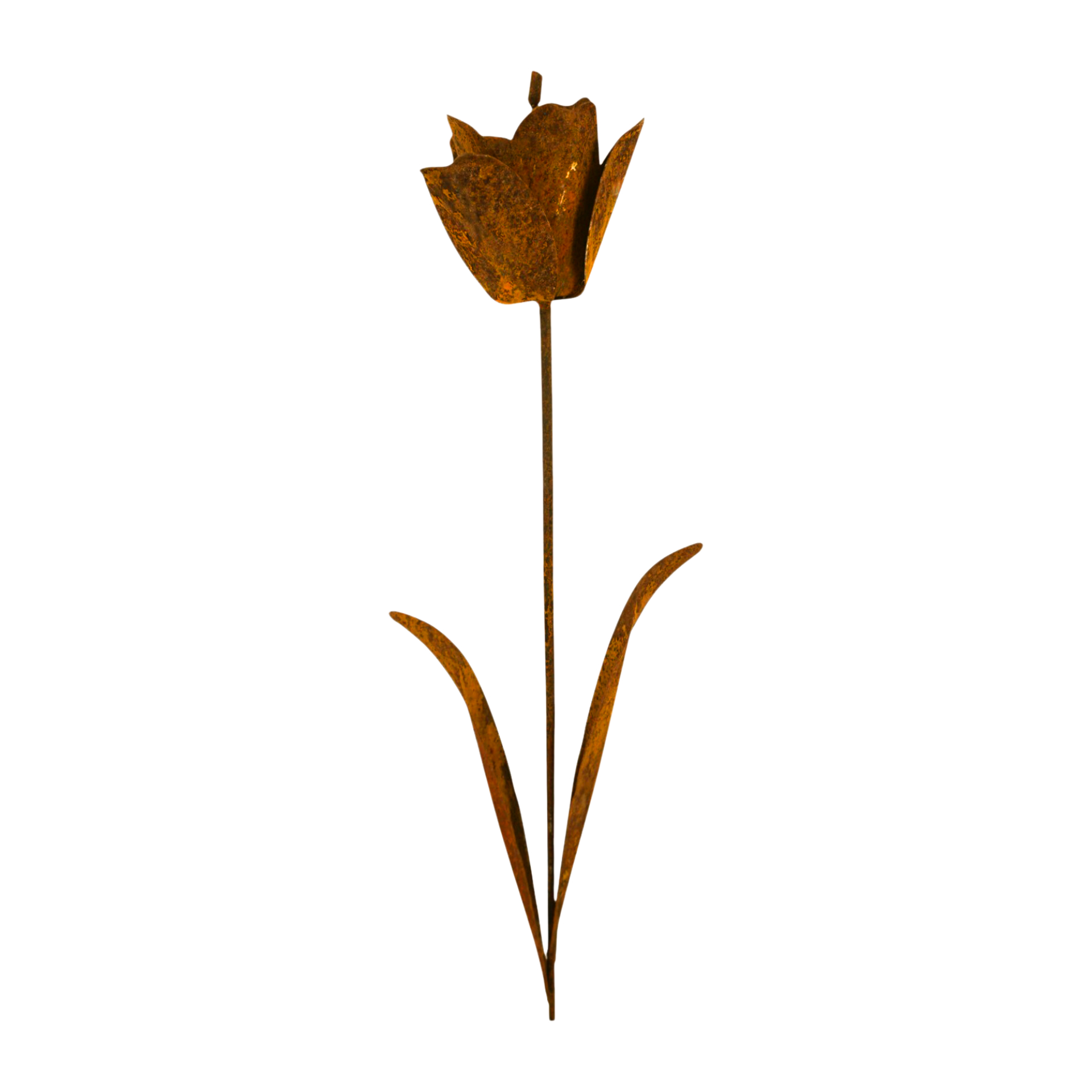 Darstellung von Tulpe z. Stecken rost, h= 144 cm, b= 17 cm