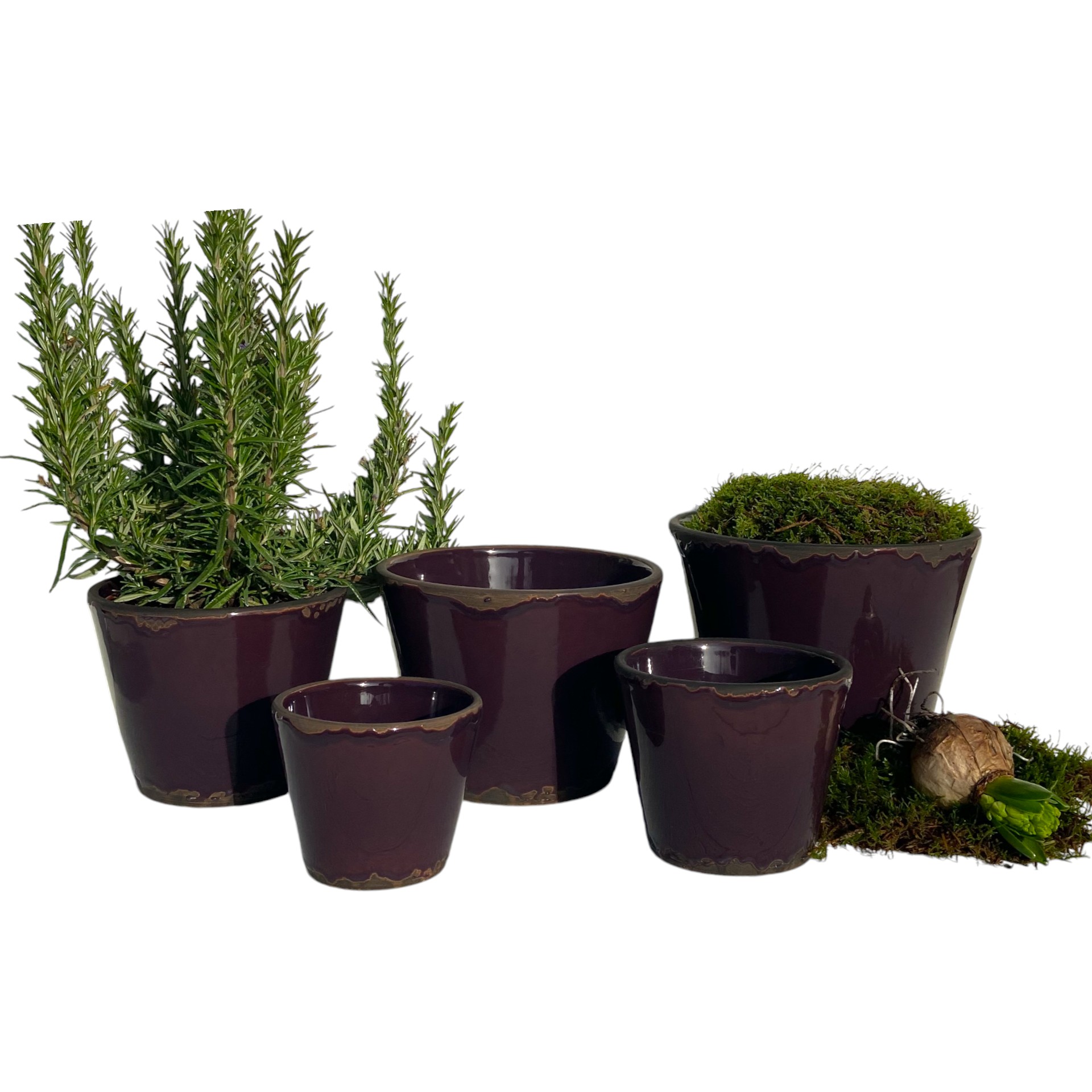 RP Topf Flora AUBERGINE 10x8,5 cm Darstellung von RP Topf Flora AUBERGINE 10x8,5 cm