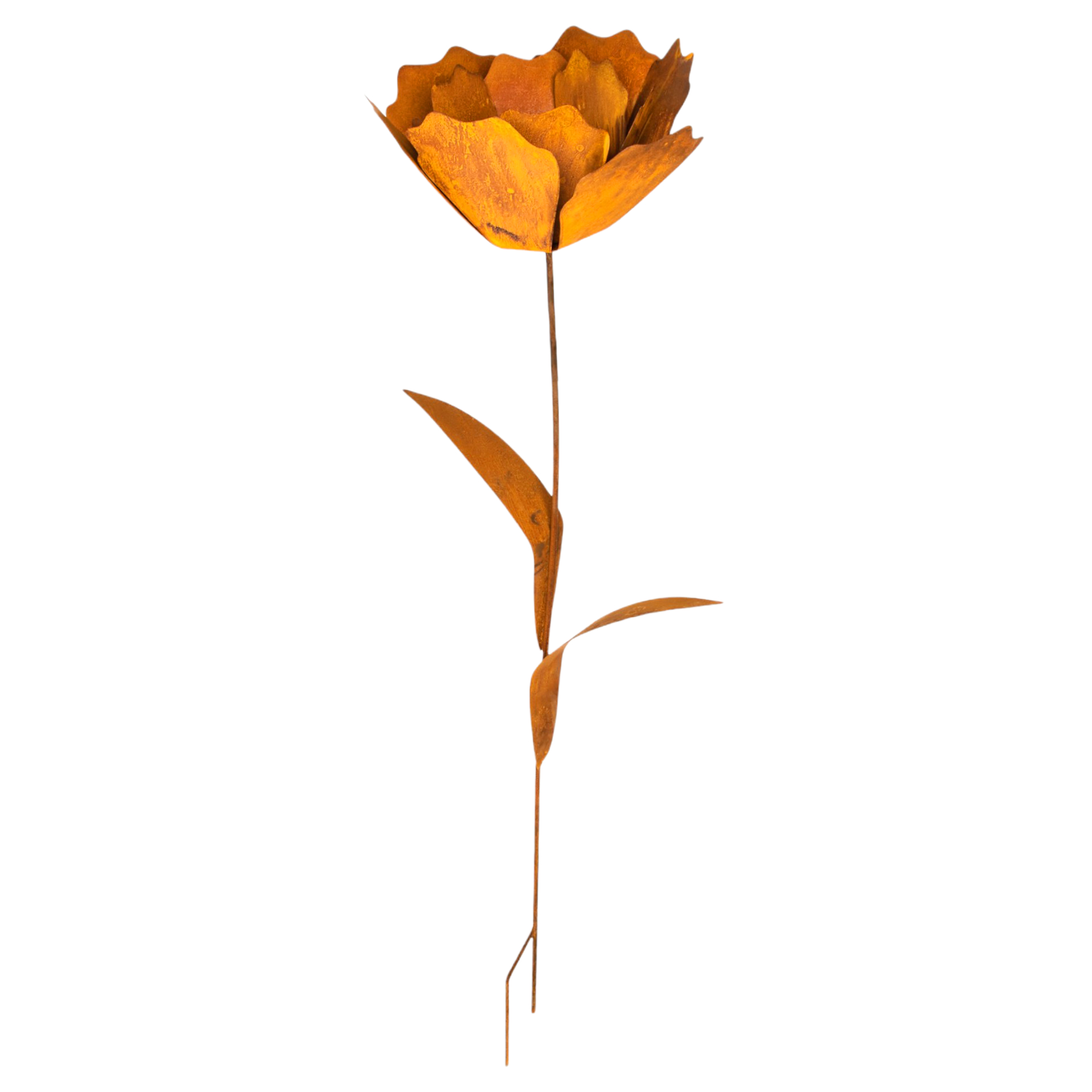 Darstellung von Rose riesig zum Stecken, 38x160 cm
