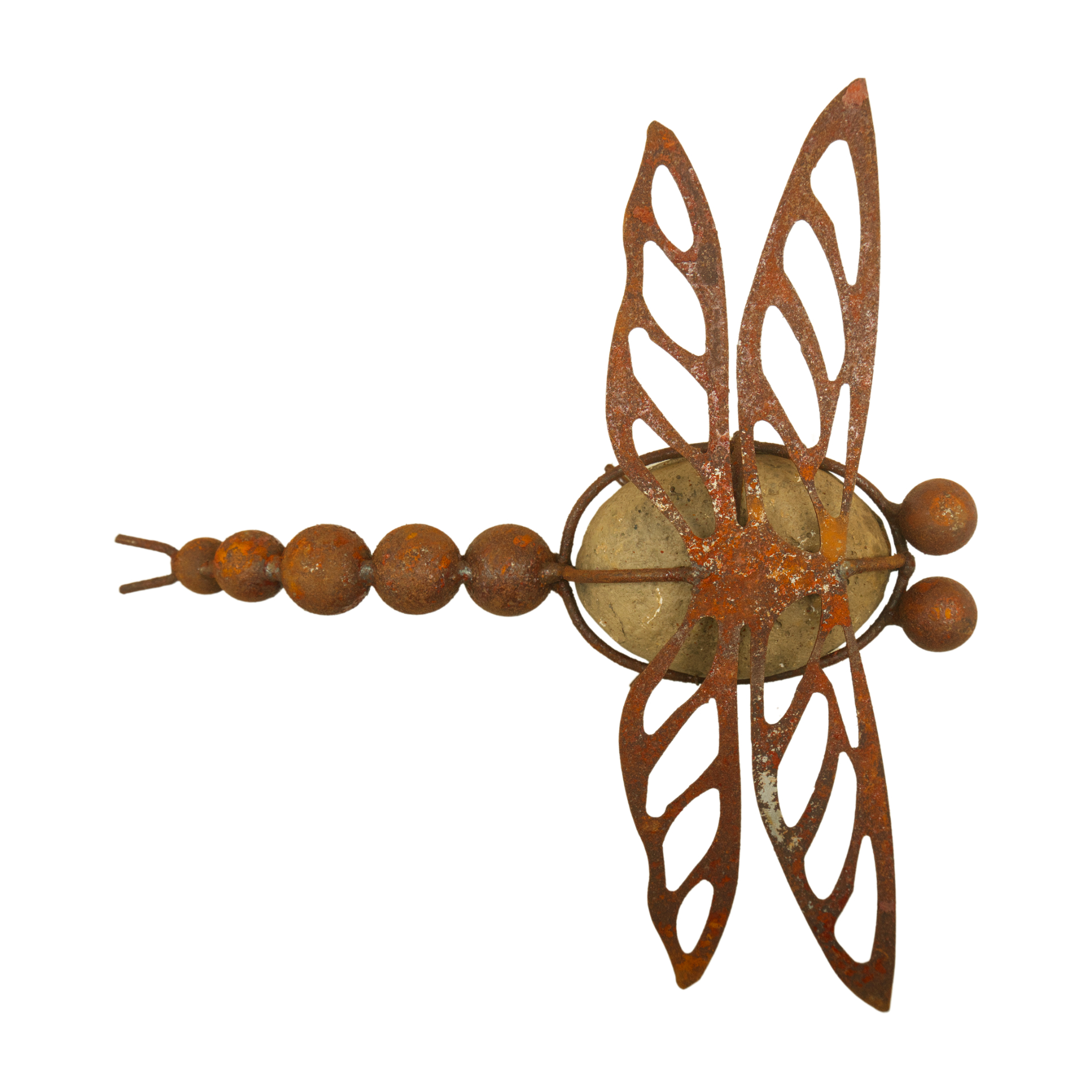 Darstellung von Steinlibelle z. Stellen