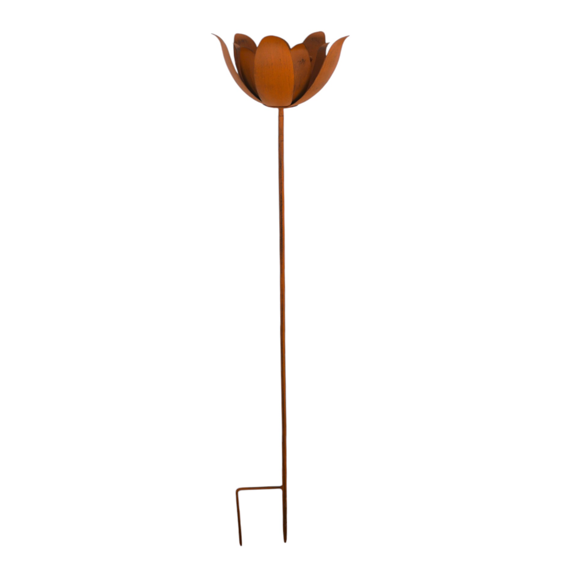 Lotus Blume rost a. Stab Darstellung von Lotus Blume rost a. Stab