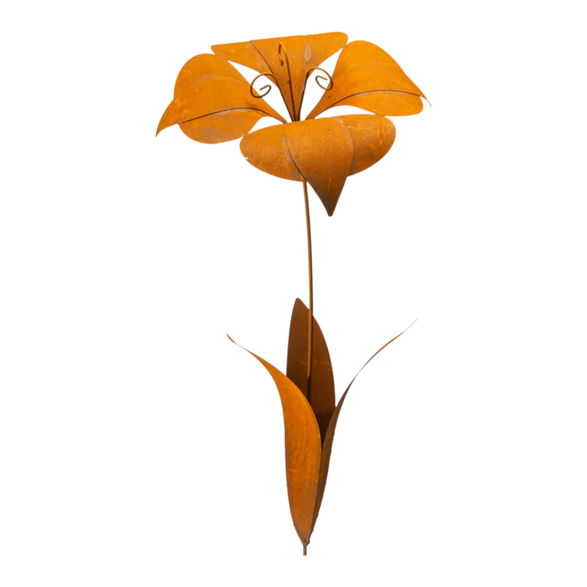 Darstellung von Malvenblüte einfach zum Stecken