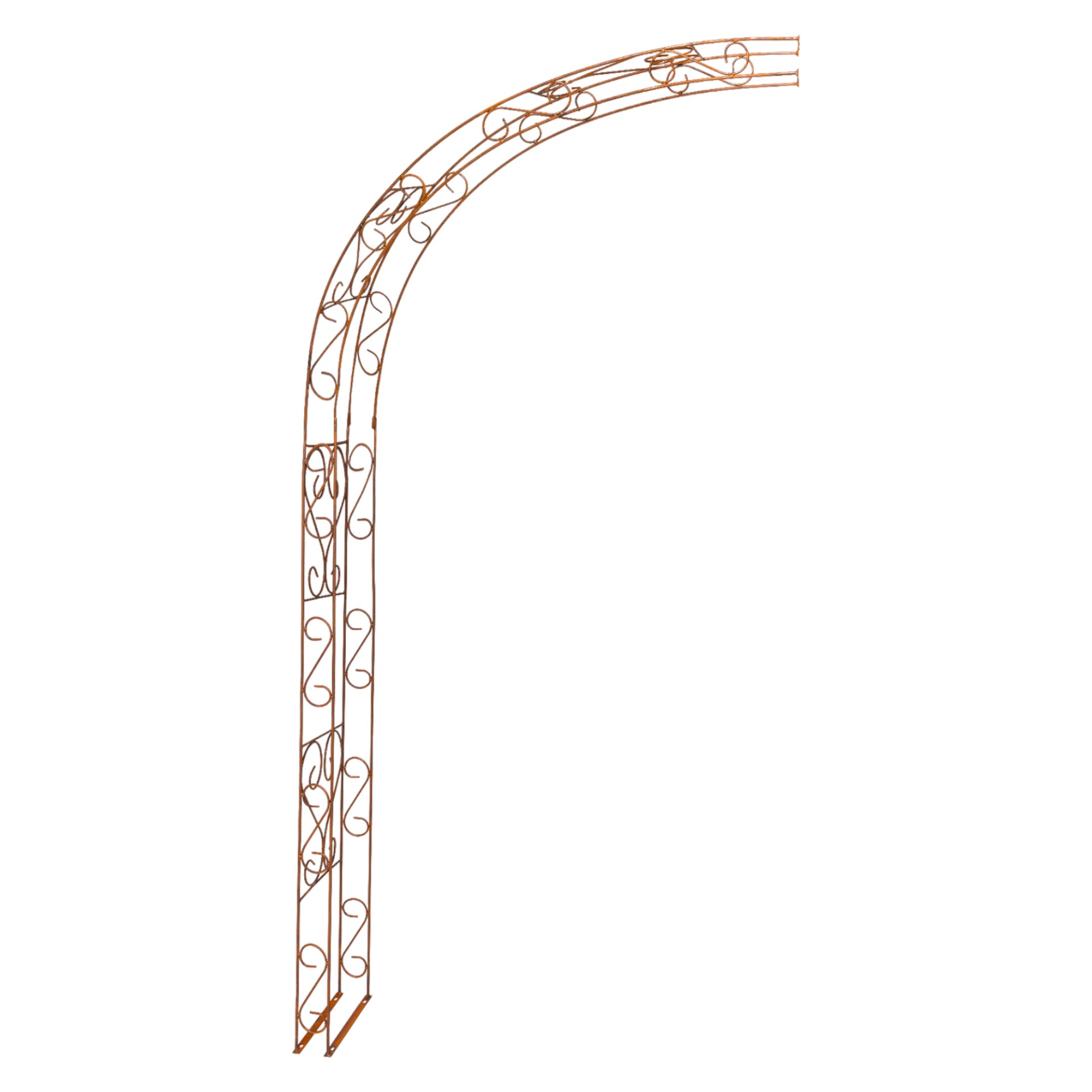 Rosenbogen doppelt gross für Wandmontage Darstellung von Rosenbogen doppelt gross für Wandmontage