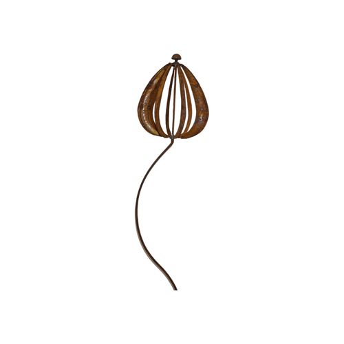 Darstellung von Tulpenpropeller h= 160 cm