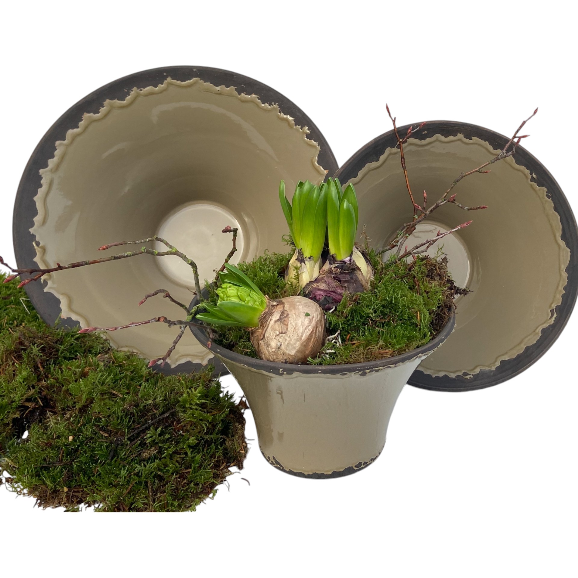 Darstellung von RP Schale olive 21x12 cm