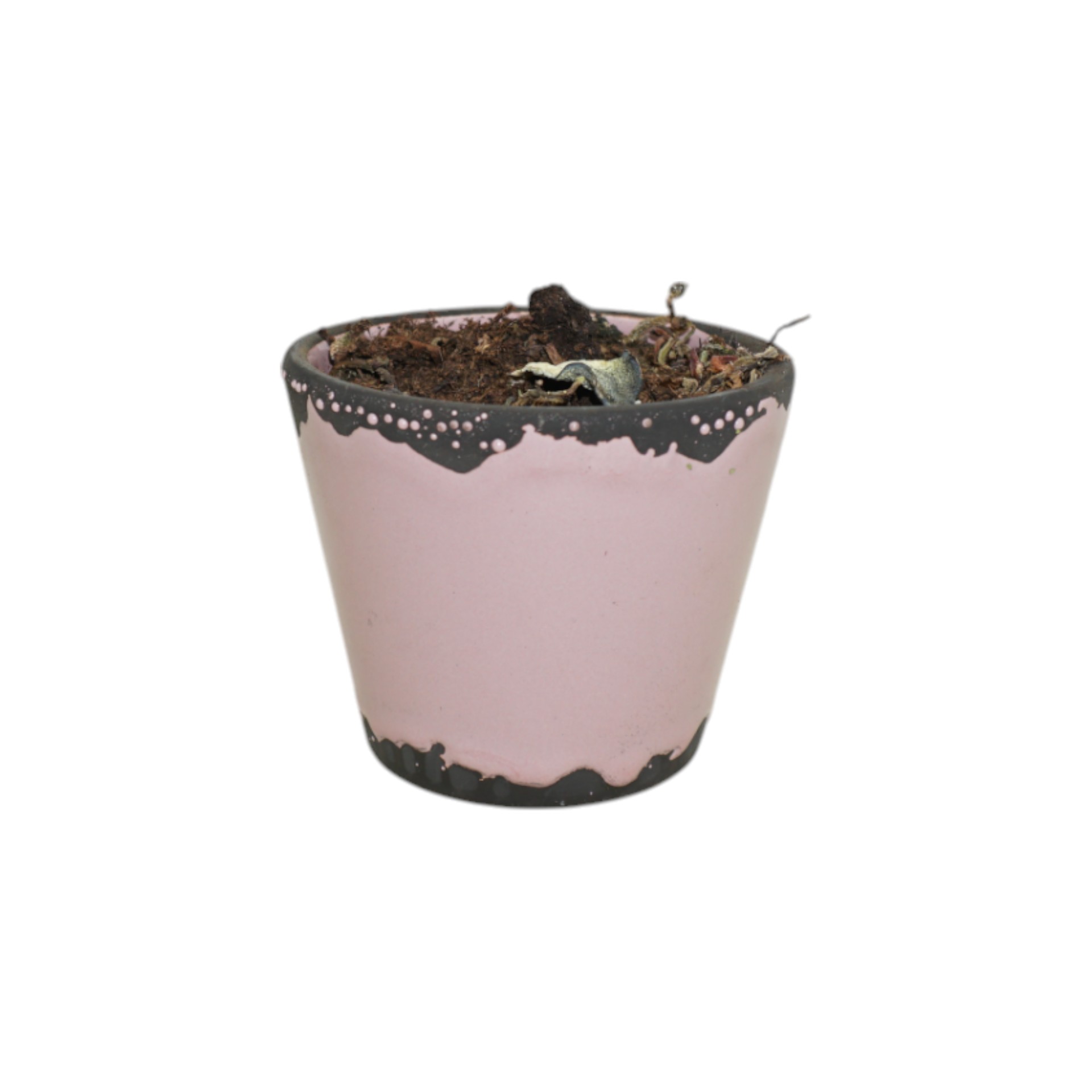 Darstellung von RP Floratopf FLIEDER mini 8,5 x 7 cm