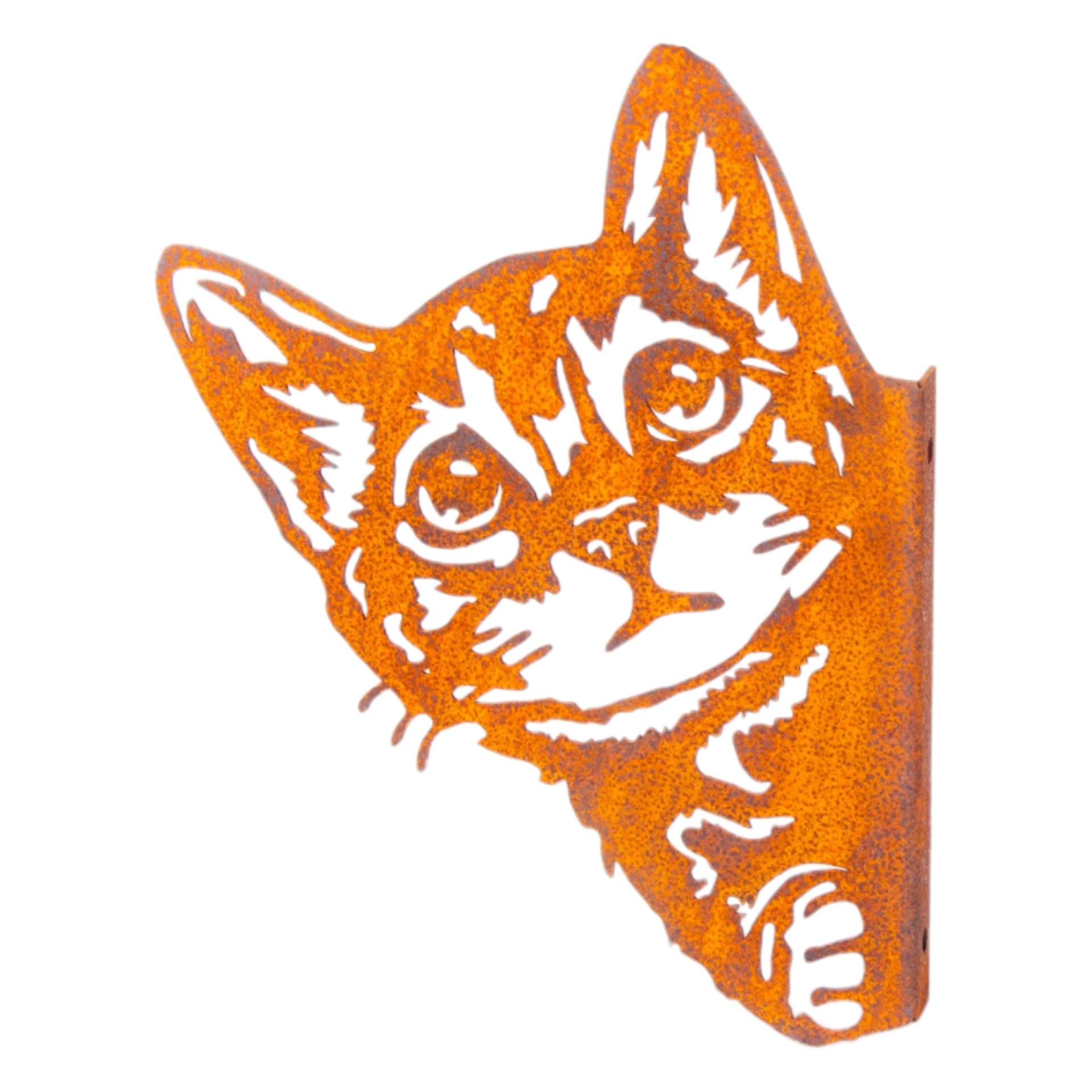 Katzenkopf Shaggy klein Darstellung von Katzenkopf Shaggy klein