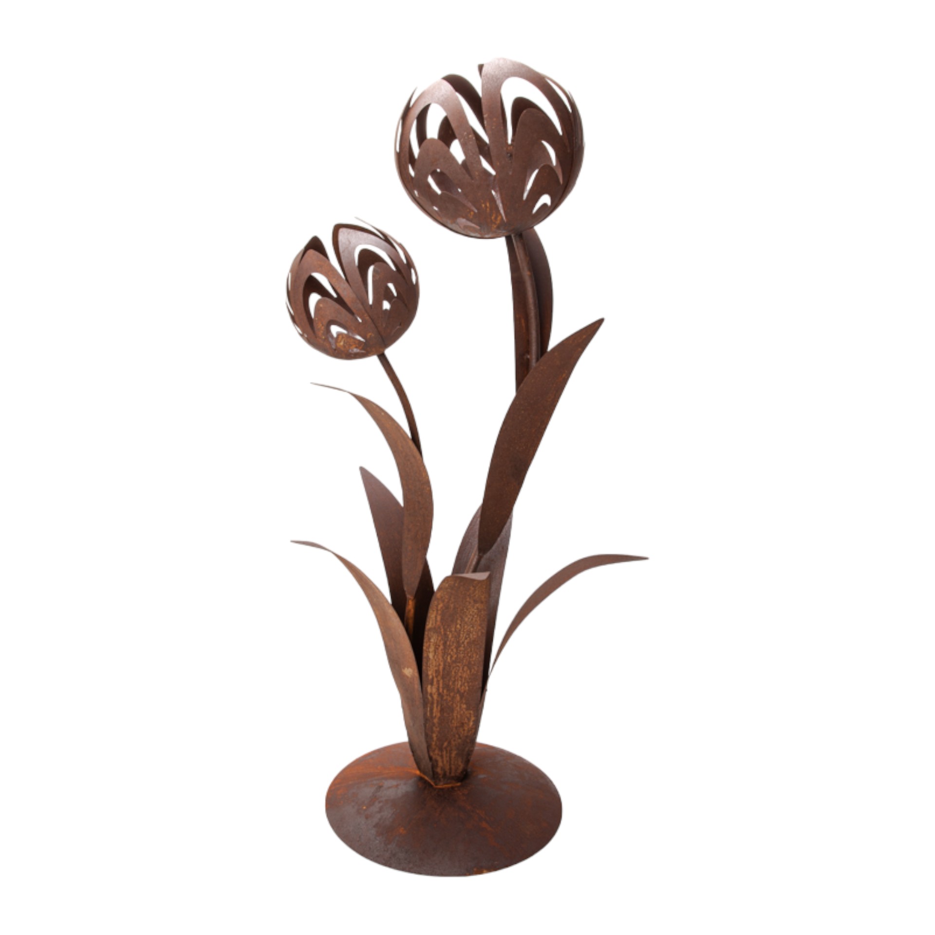 Tulpe gross doppelt auf Platte mit Blätter Darstellung von Tulpe gross doppelt auf Platte mit Blätter