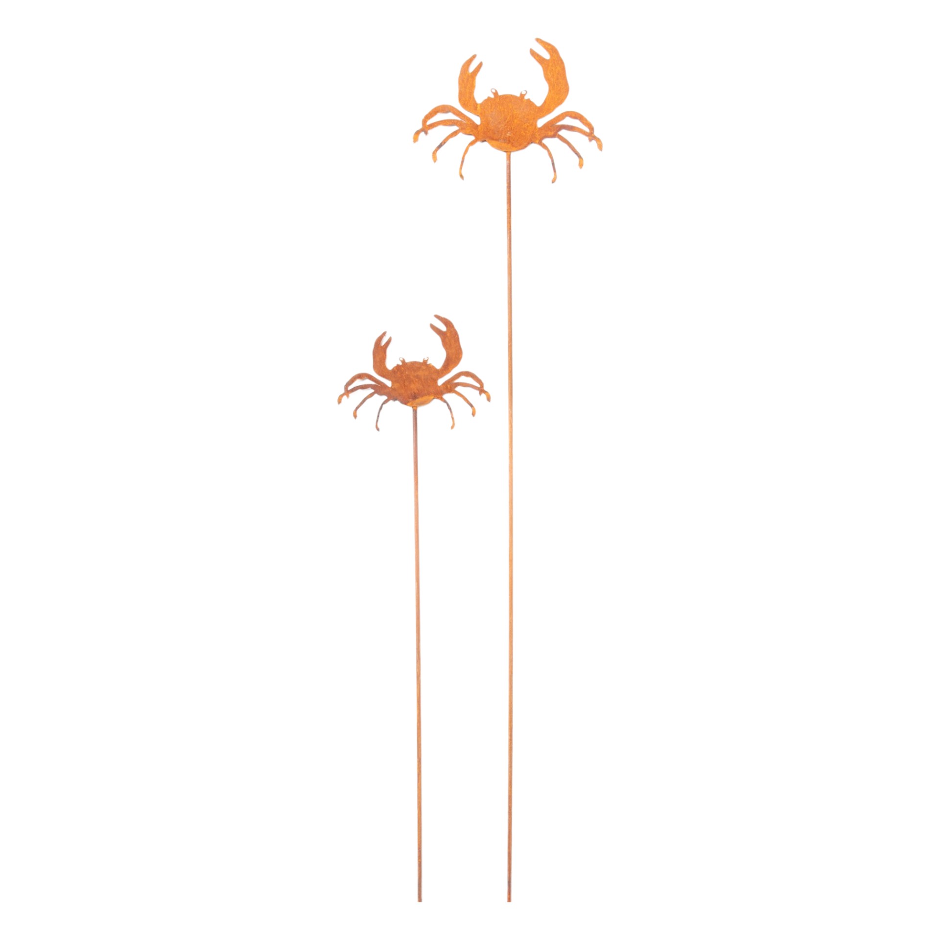 Darstellung von RP Krebs klein auf Stab, 12x9/ 48 cm