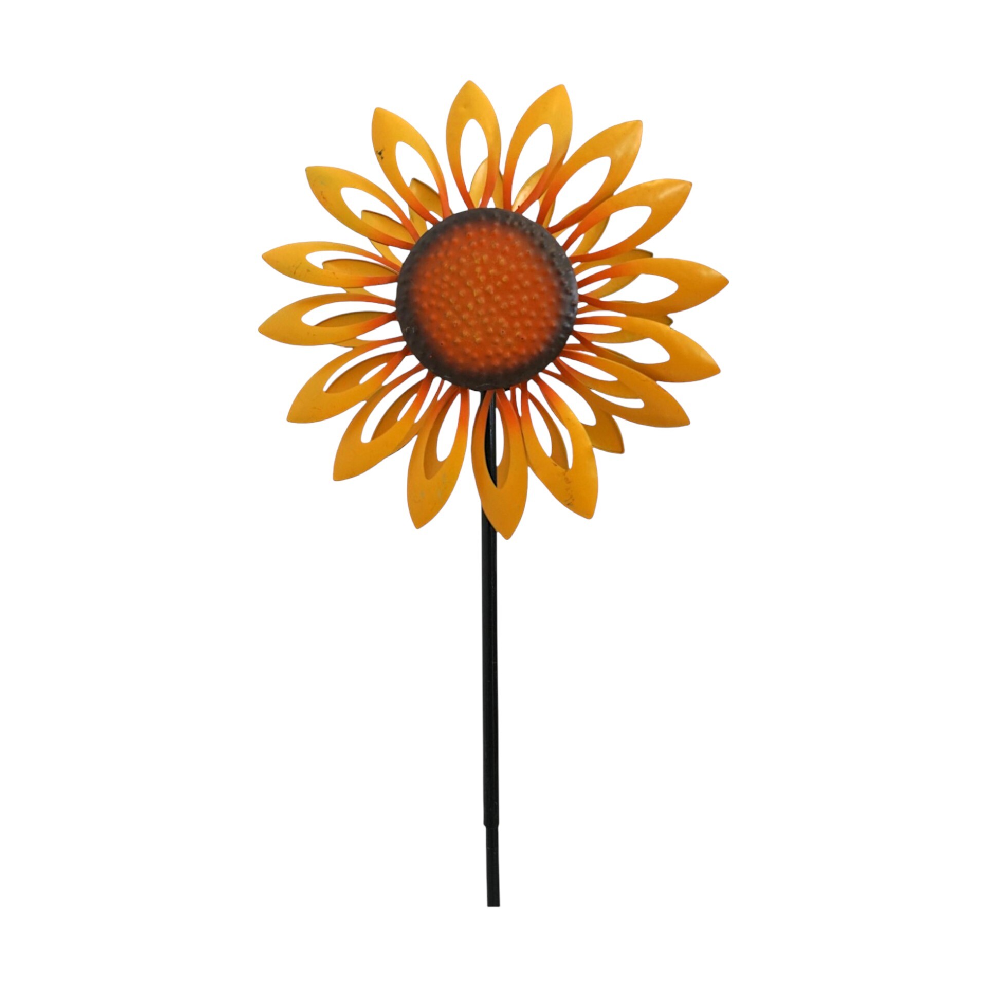 Darstellung von Duopropeller Sonnenblume klein